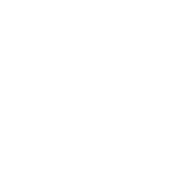 blizzard-logo.webp