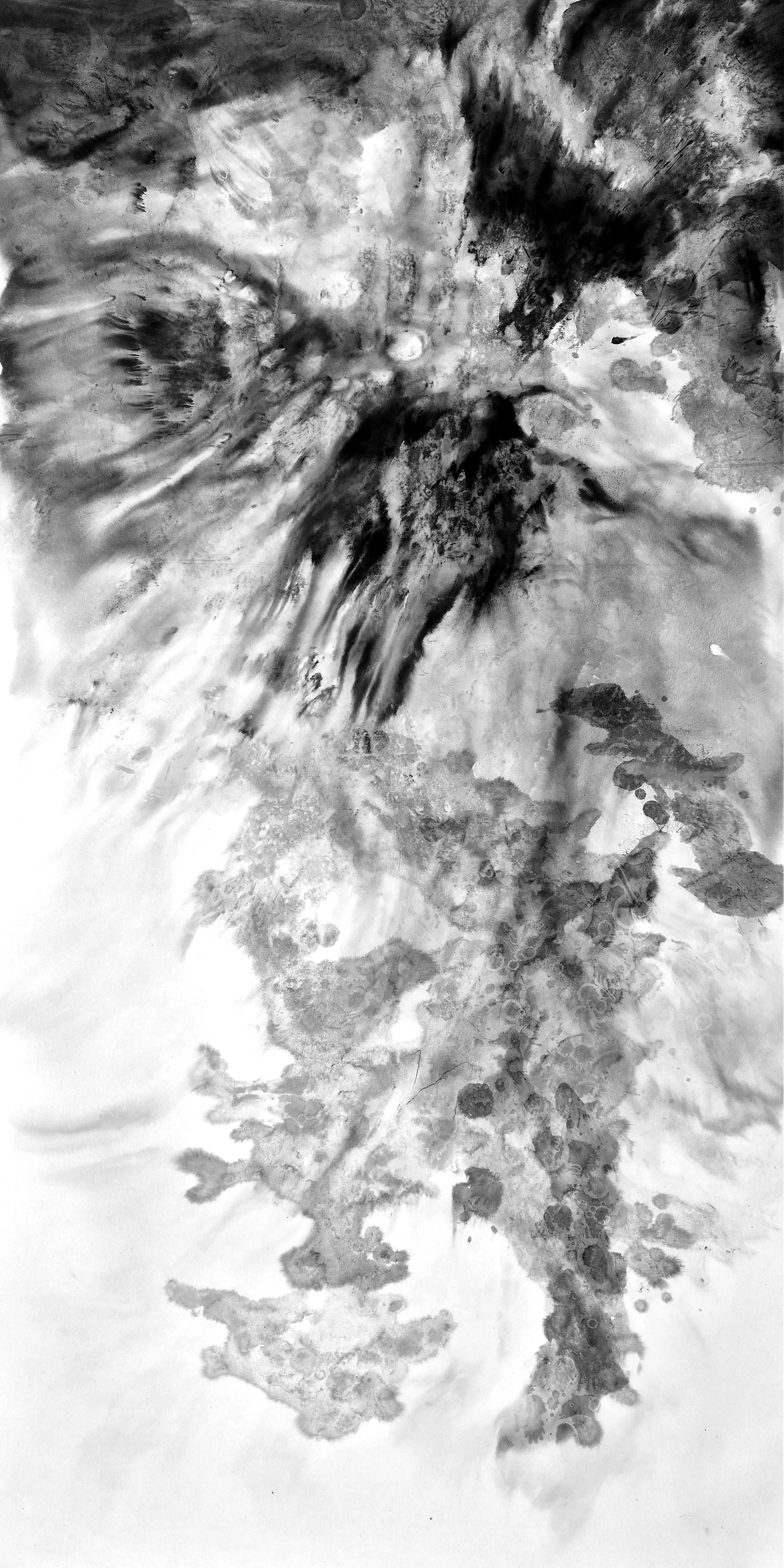 Fluid Emergence