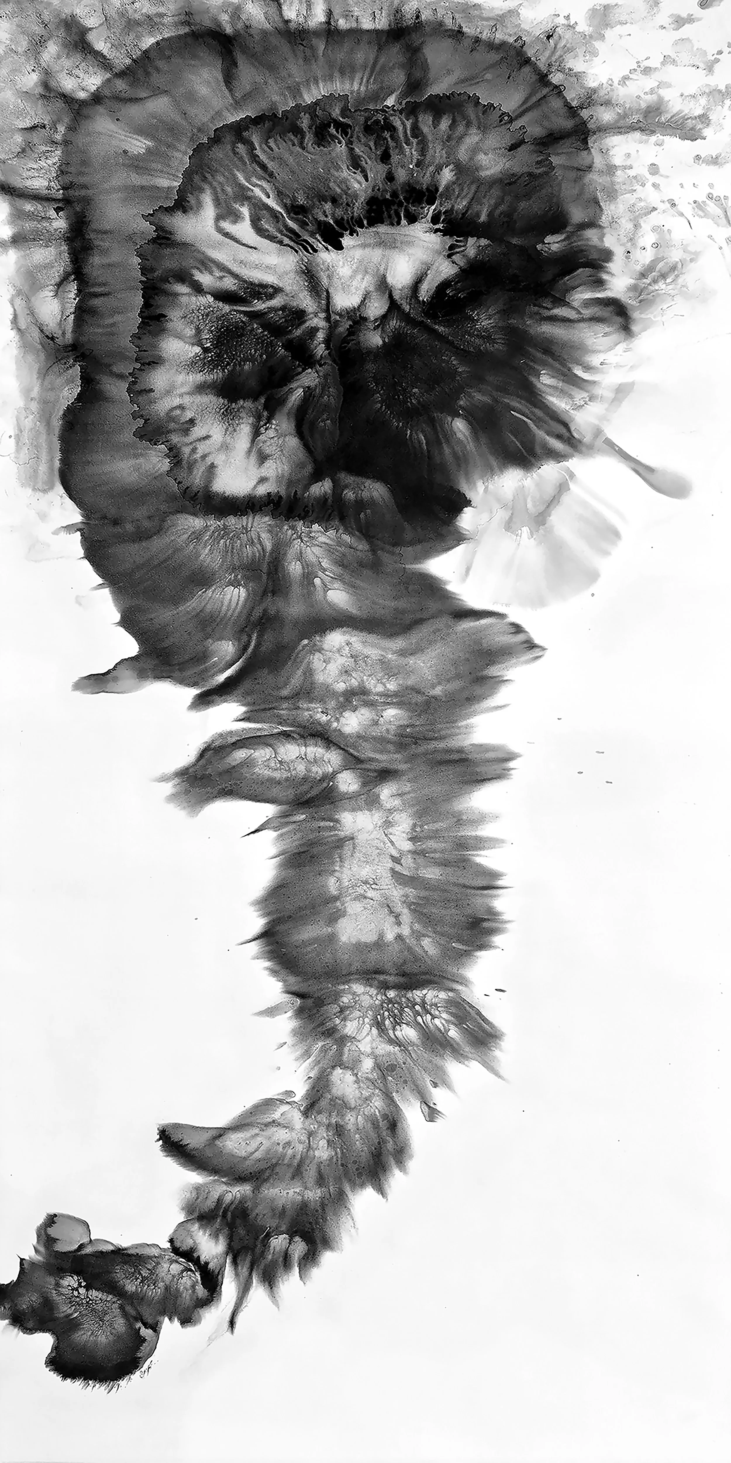 Geometry of Flow