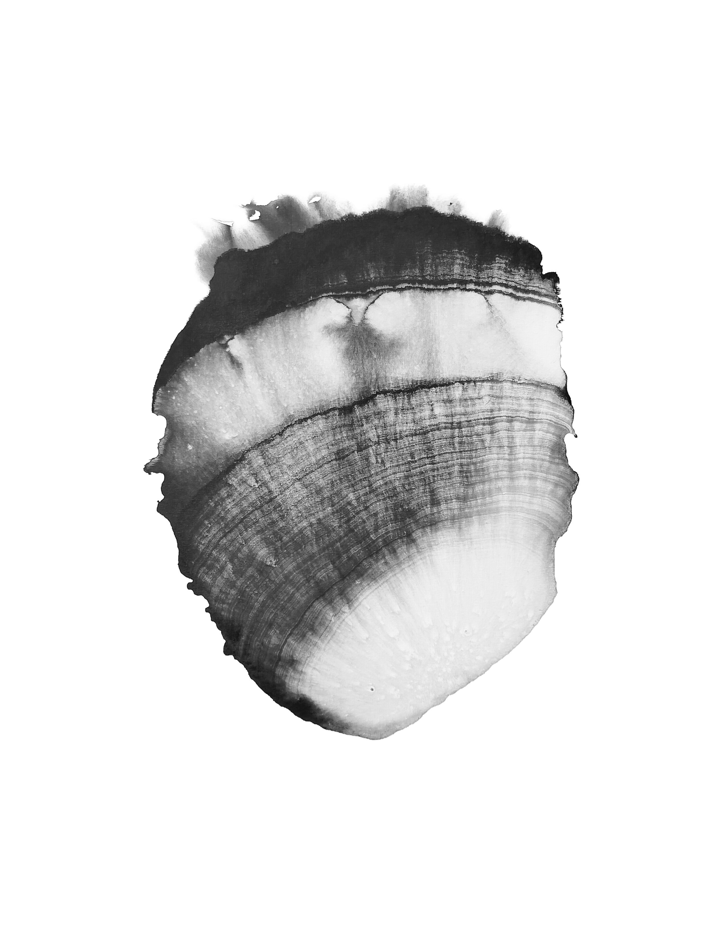 Trace of Years