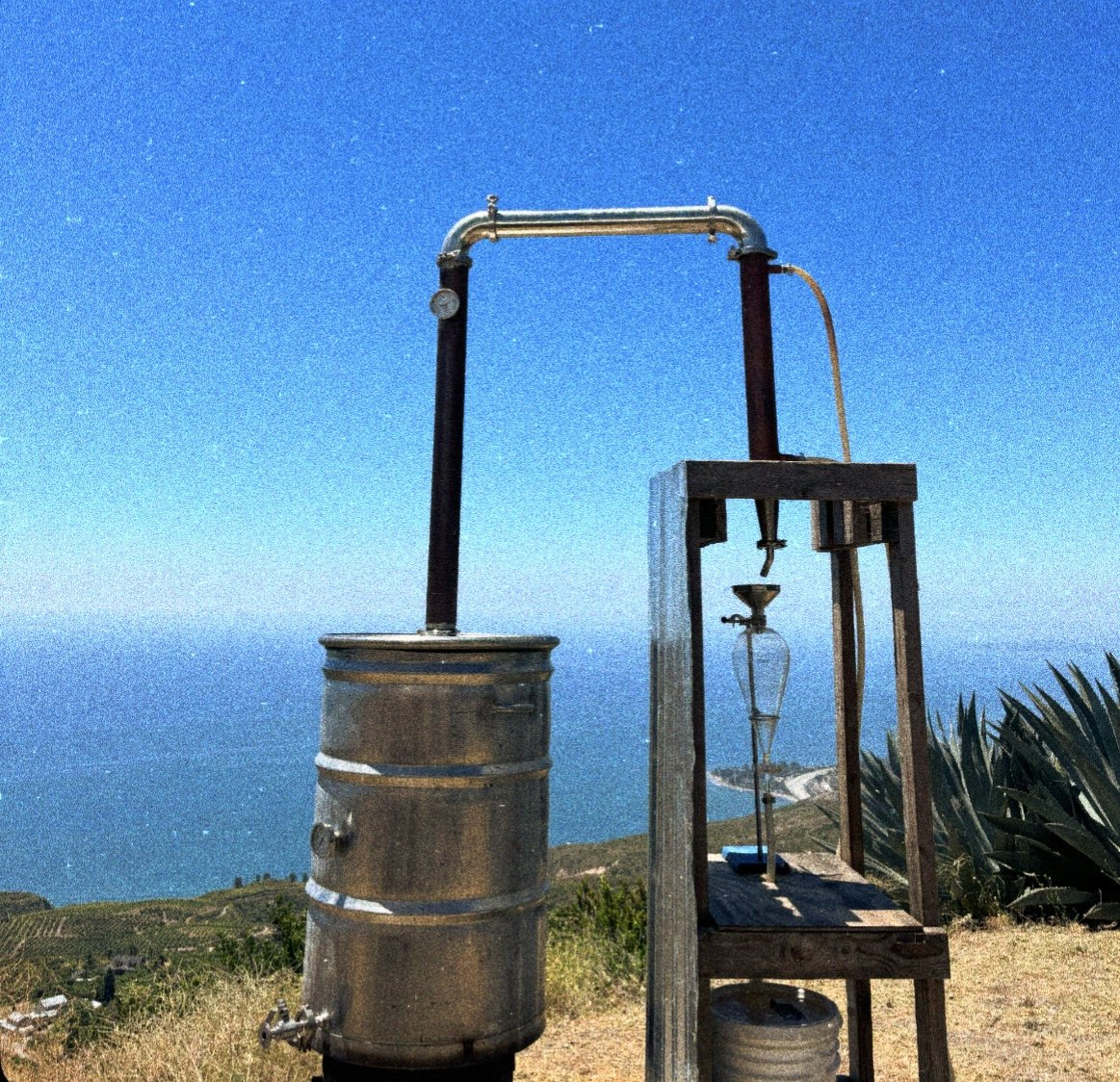 EUDAIMONIA - A midsummer bioregional herbalism campout in collaboration with Sweet Mountaintop