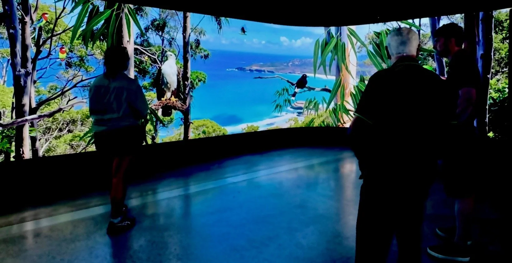 NEW EXHIBITION OPENING SOON: Gimbaybiyn Gilanggaray