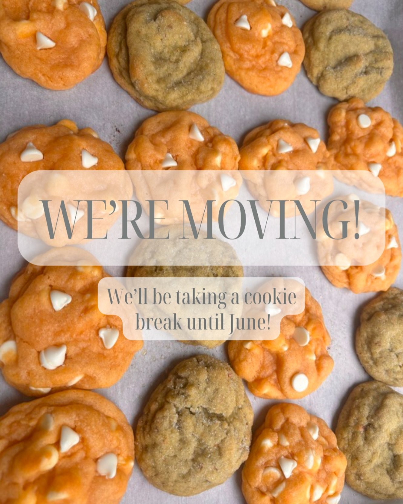 Pudding Cookie Cottage is moving locations!!! We’ll be moving to Blue Springs, MO and will be picking back up with our delicious pudding cookies in June once we are all settled in!
Thank you so much for your support of my little home bakery i