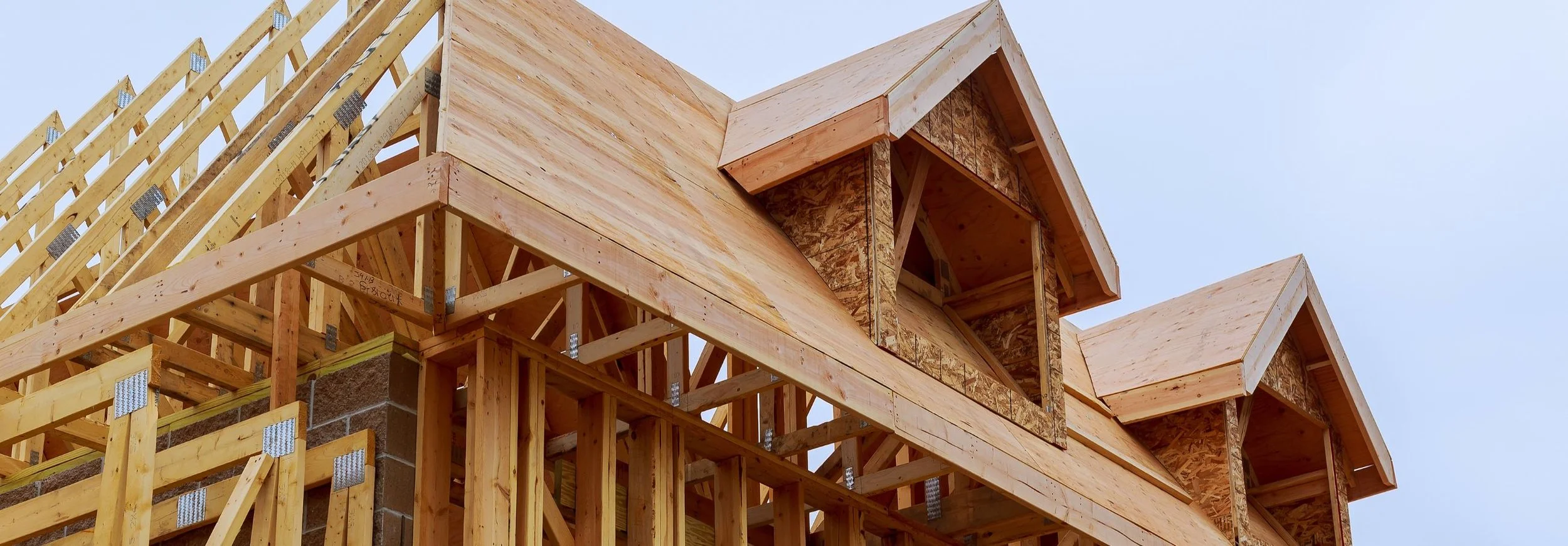 Cheaper Houses, Costlier Surprises: Identifying the Hidden Risk Factors of New Construction Homes