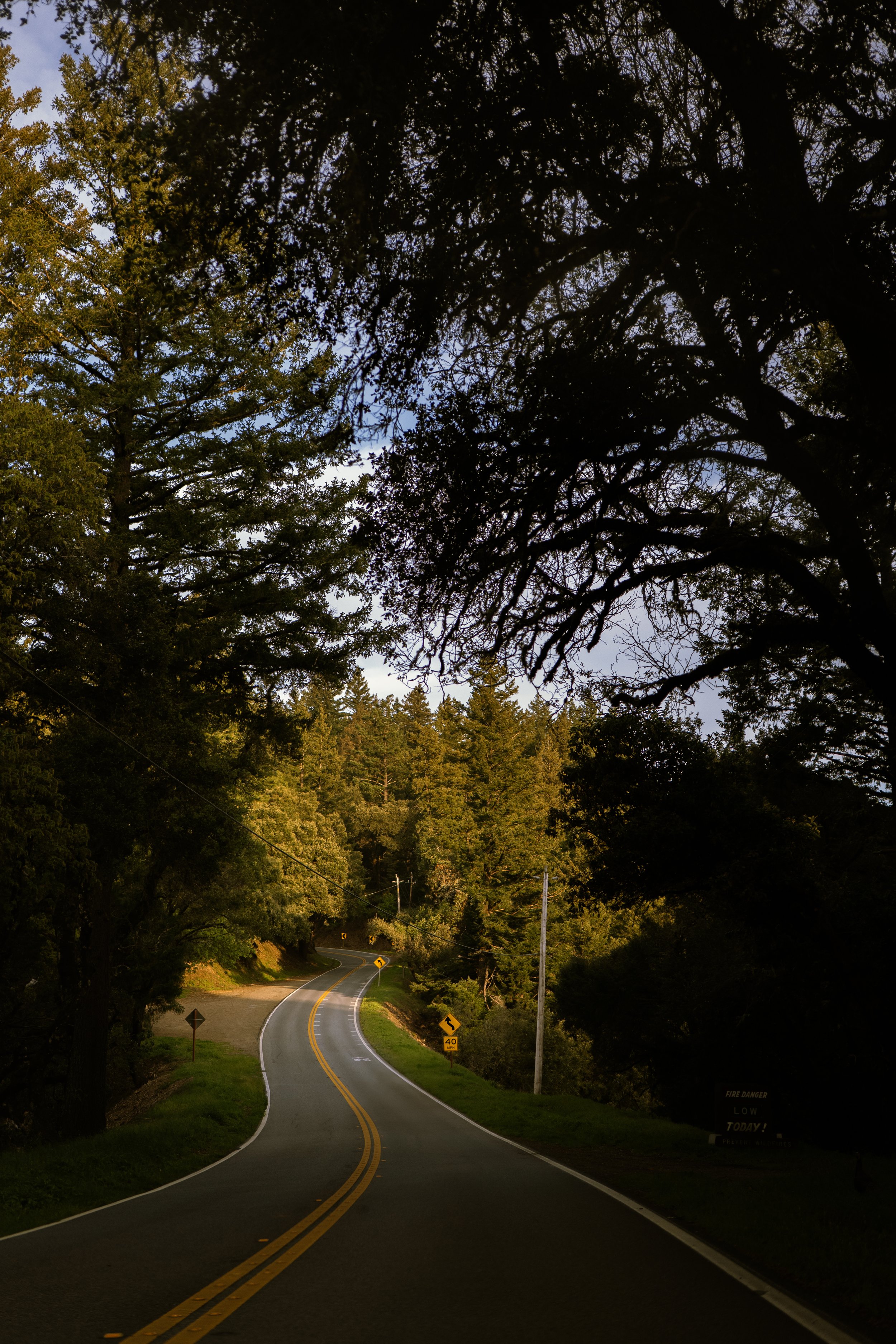 day2oflumixs5ii-1.jpg