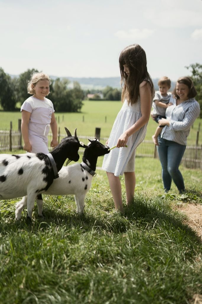 Ölerhof_Ziegen.jpg