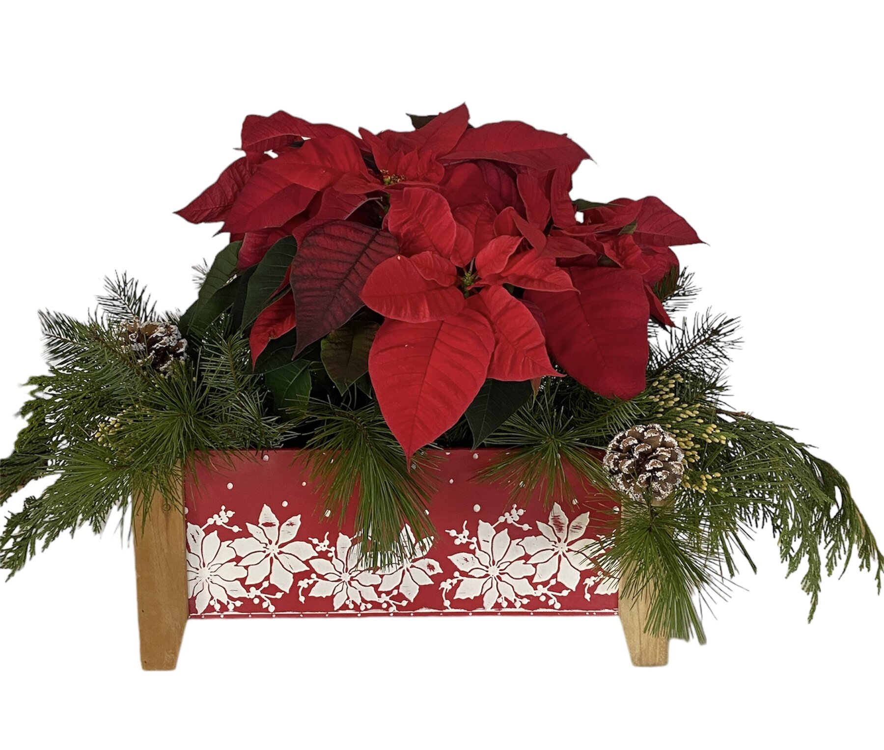 Red poinsettia in a red metal container with white poinsettias
