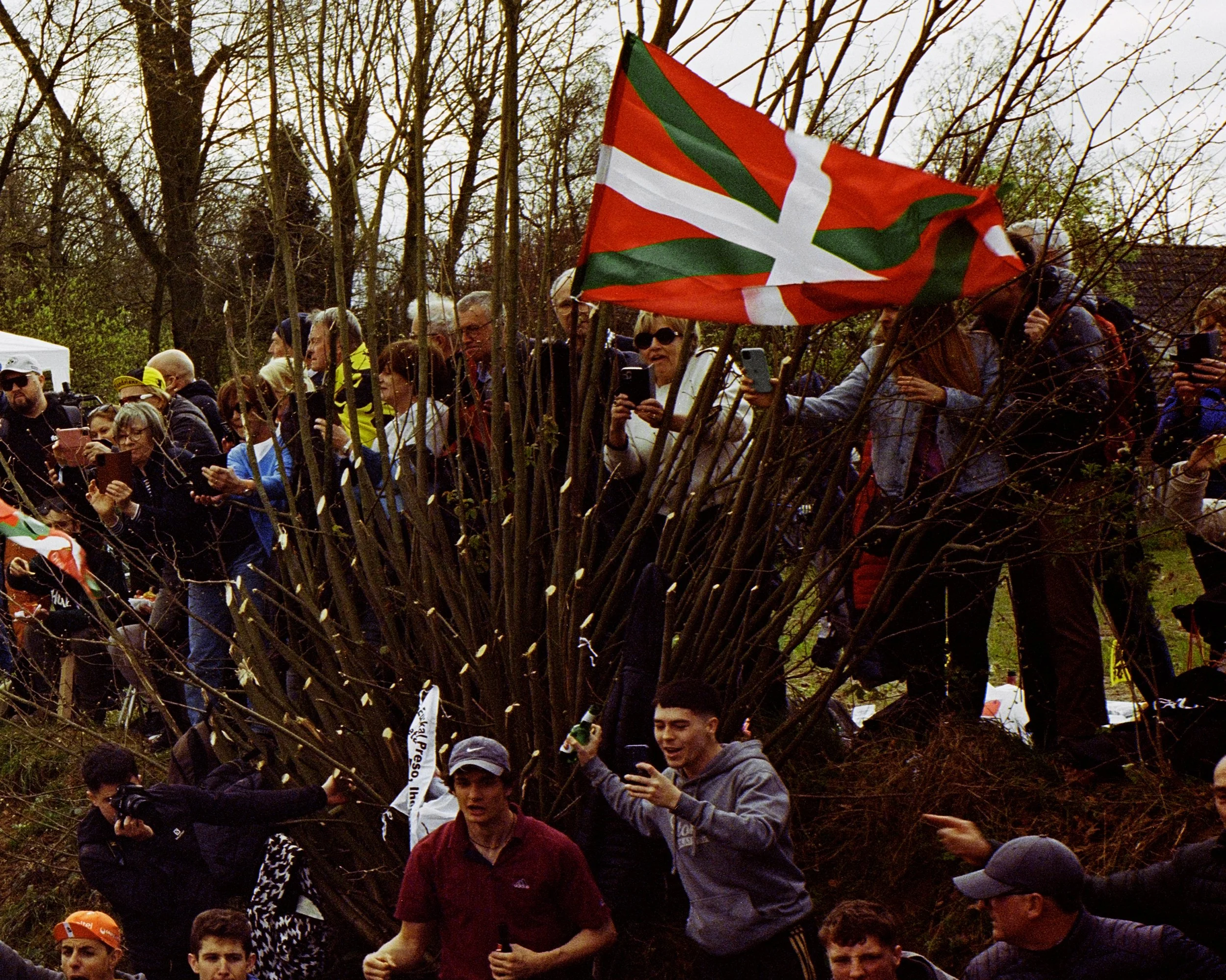 flandern_I_ (3).jpg