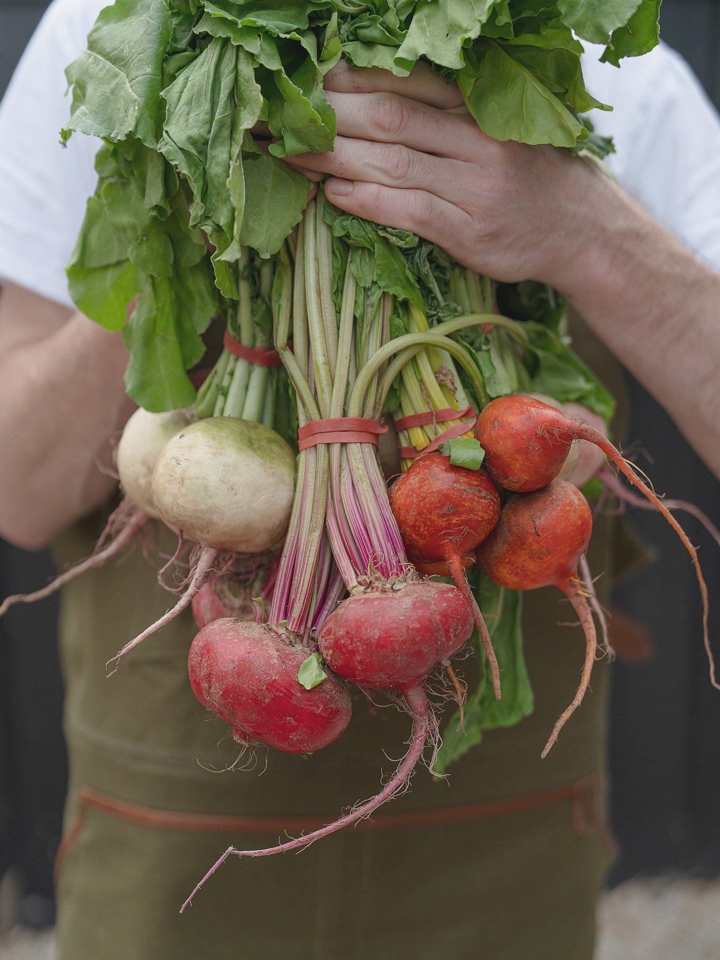 Provenance..
Fresh, locally grown and straight into our menu.. 
@derril_____ 
.
.
#derril #cafe #coffee #moorooduc #morningtonpeninsula