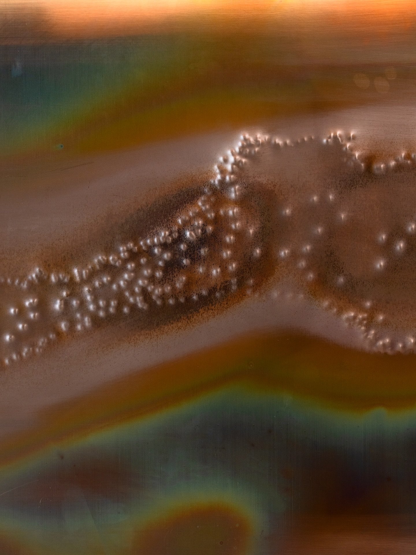 Let&rsquo;s take a moment to breathe in the aesthetic that is Derril @derril_____ 
By @leisa_wharington 
.
.
#derril #cafe #moorooduc #thestudioandco #morningtonpeninsula