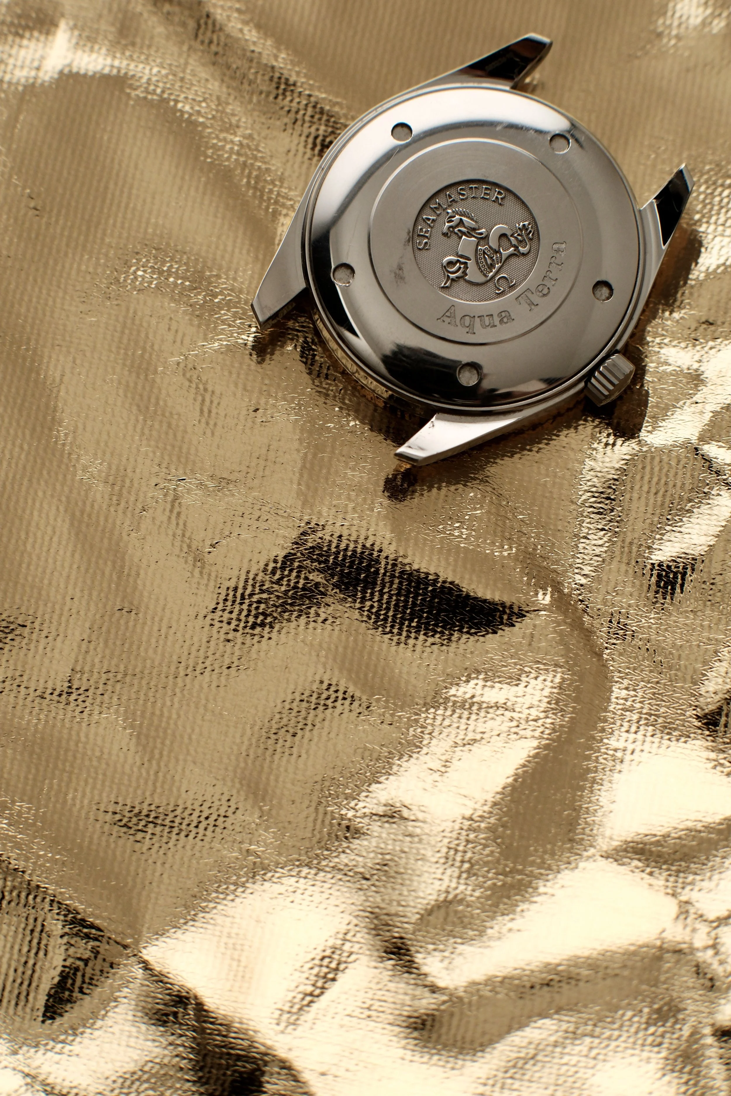 Fond Seamaster Aqua Terra