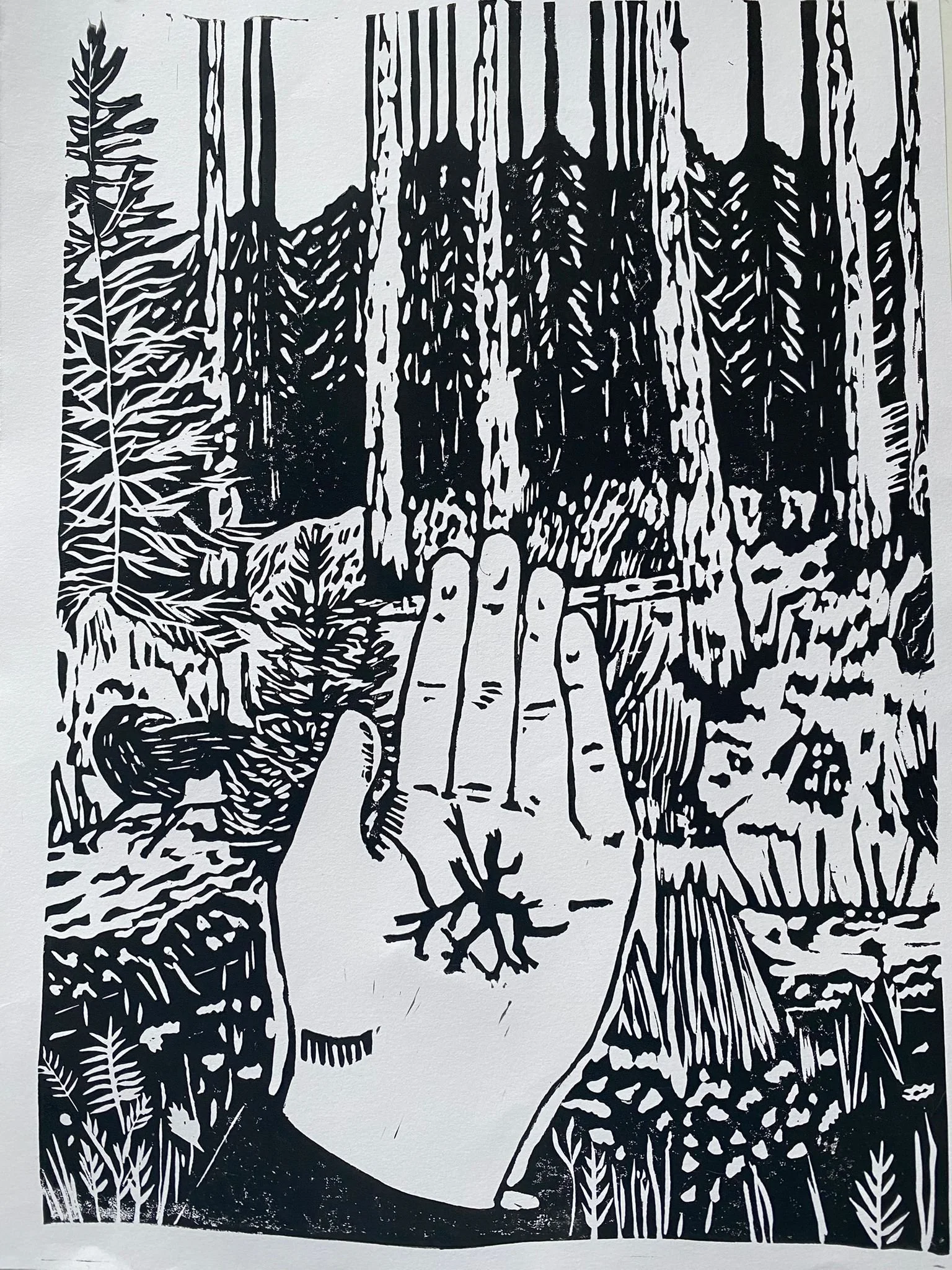 WhatsApp Image 2025-12-31 at 11.16.48.jpeg