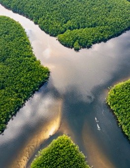 Public–Private–Philanthropic Partnerships in Climate Transitions