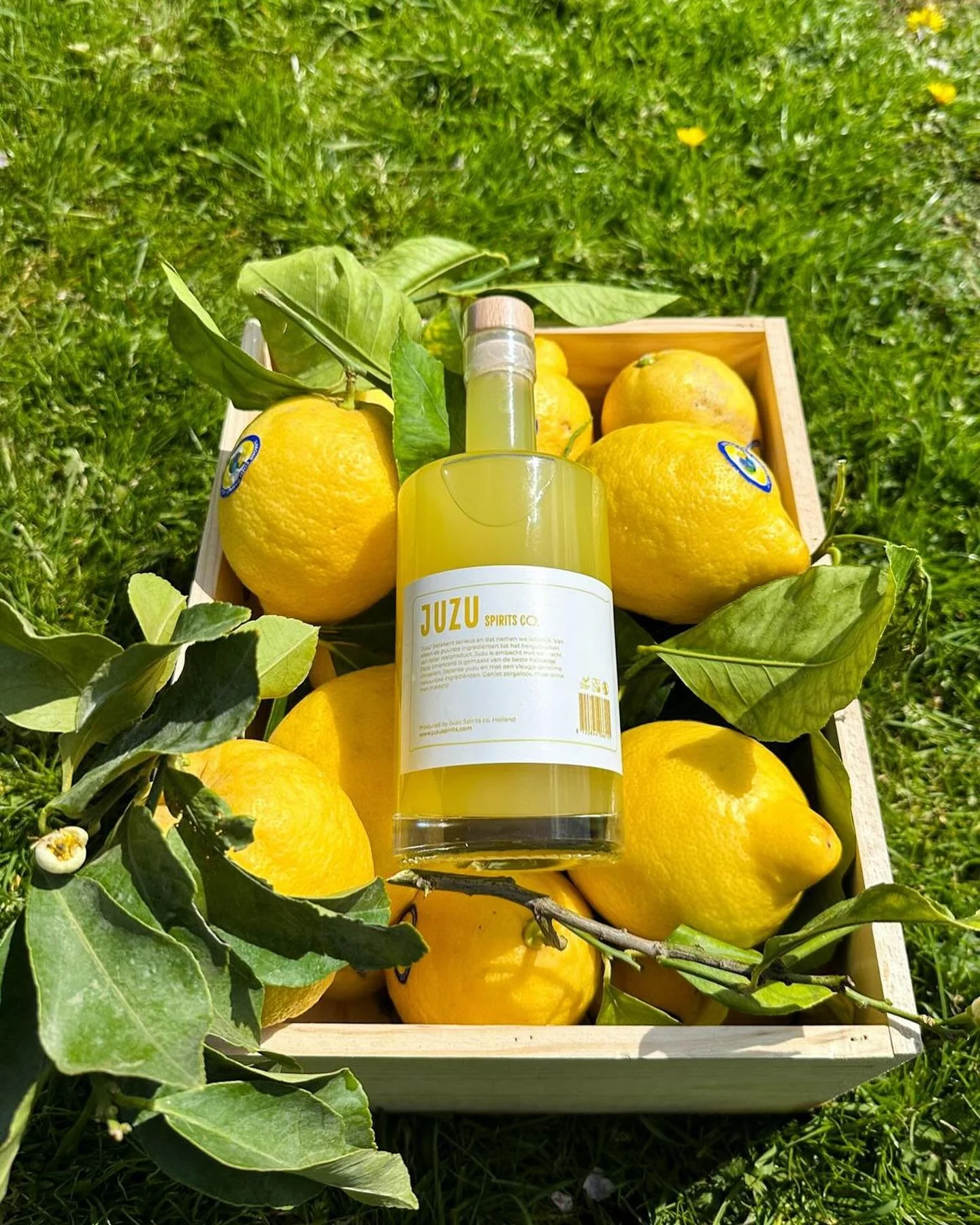 🌞 Zonnig, fris &amp; puur natuur.
Onze JUZU limoncello wordt met liefde gemaakt van verse Amalfi-citroenen, rechtstreeks van de boomgaard naar je glas.
🍋 #DrinkJuzu