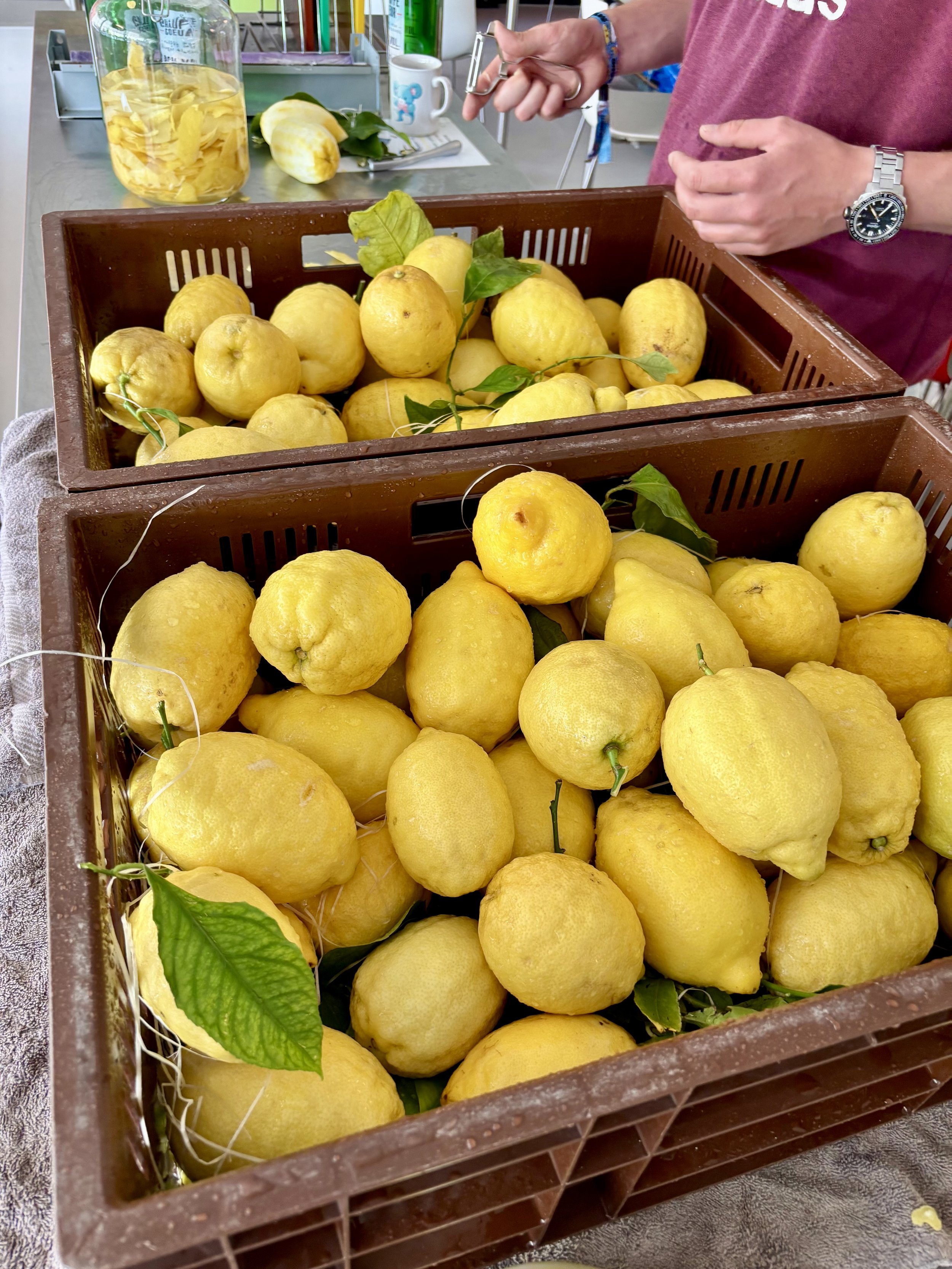Limoncello workshop Groningen.jpg