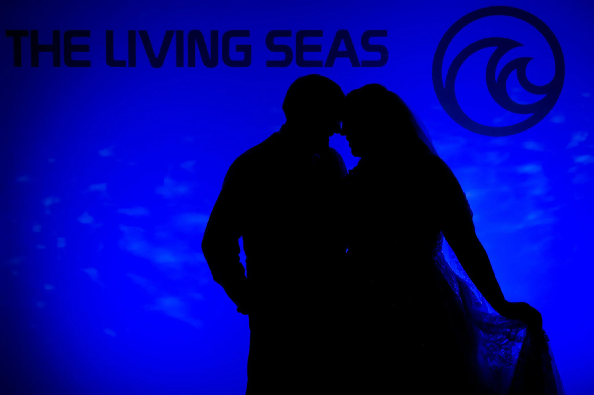 IMG_0037Epcot Living Seas Reception.jpg
