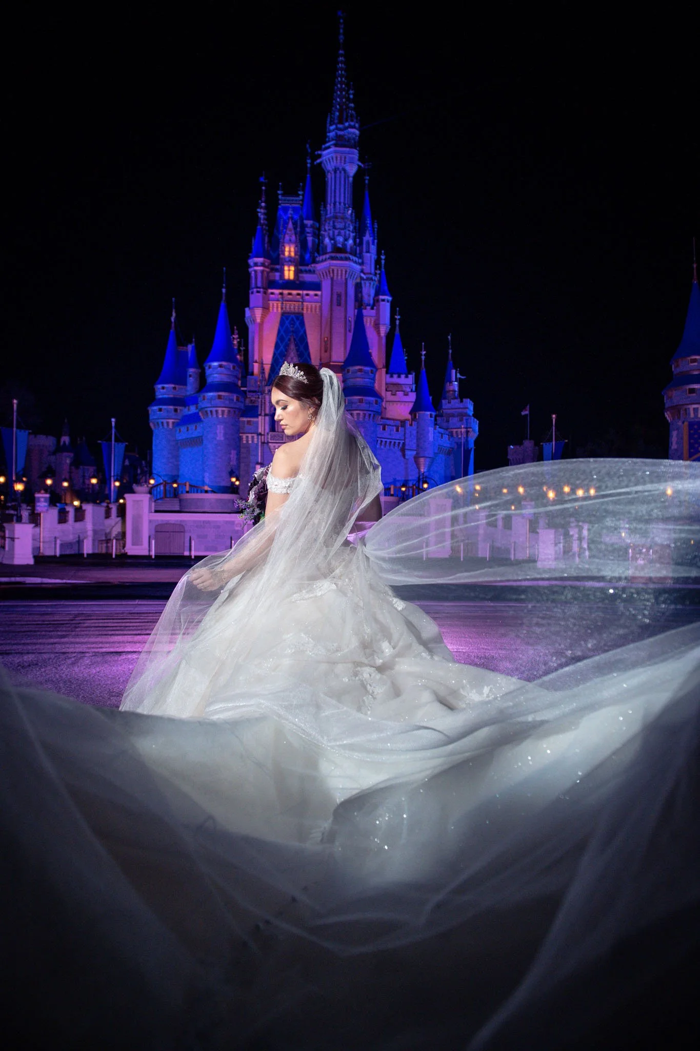 D09_3699Magic Kingdom  Cinderella's Castle.jpg