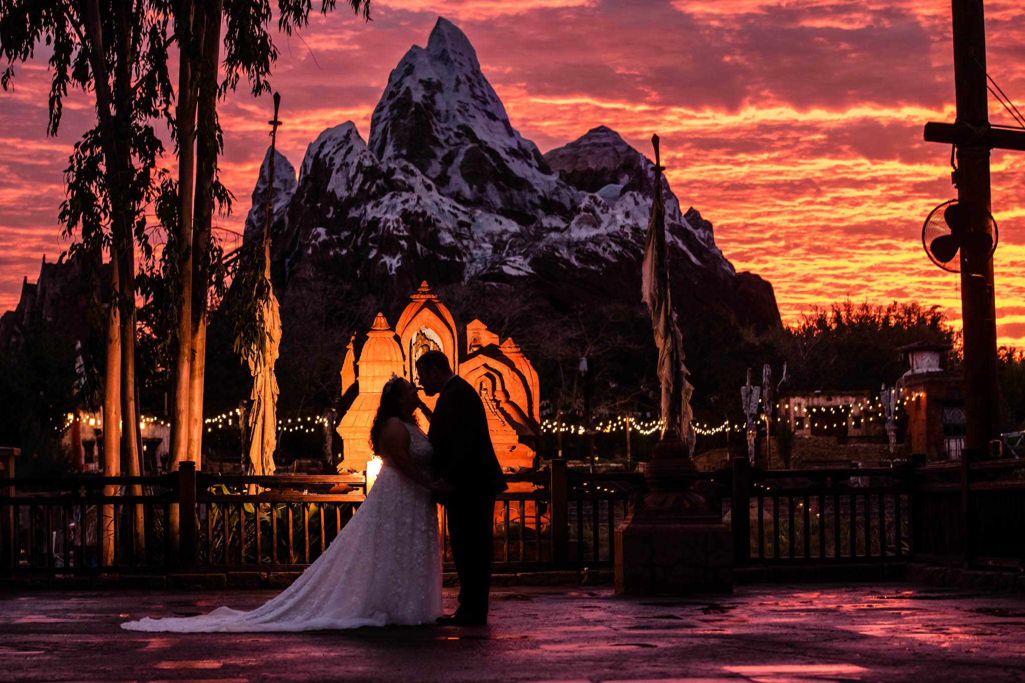 856_9524Animal Kingdom.jpg
