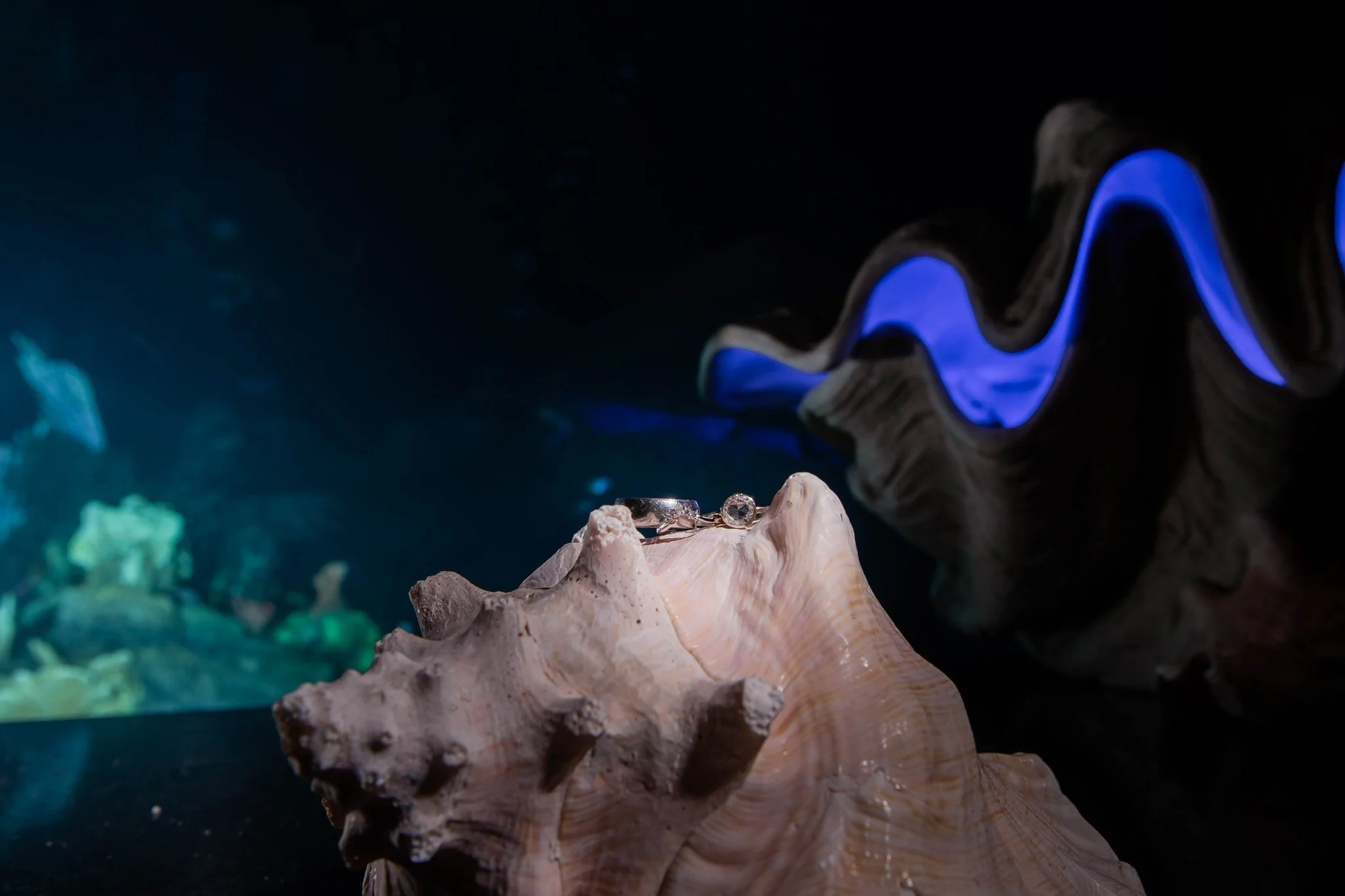 IMG_0217Epcot Living Seas Reception.jpg