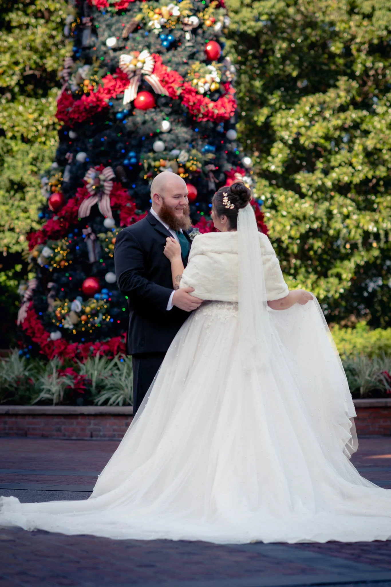 IMG_0414Walt Disney World Christmas.jpg