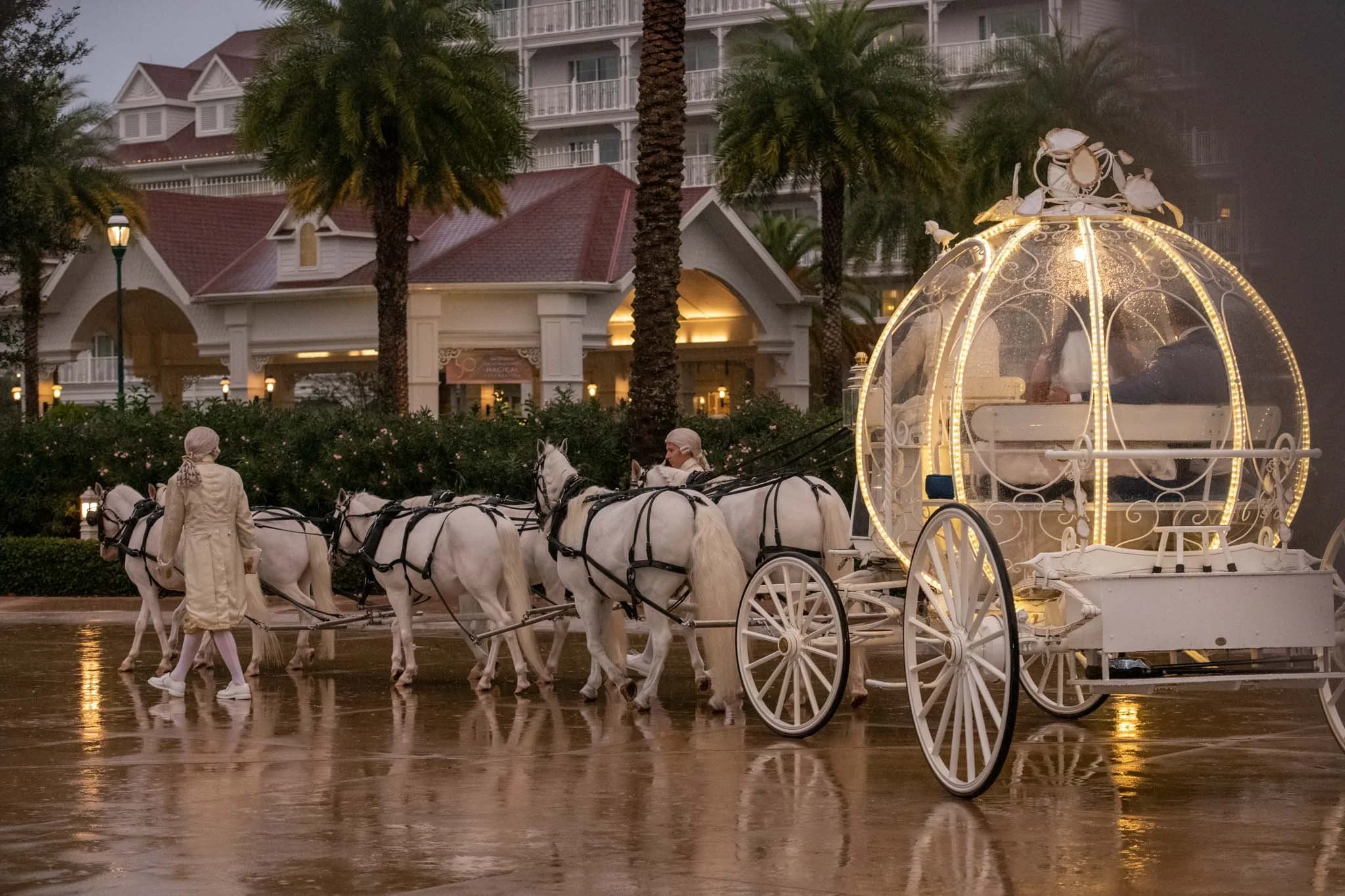 Horse-drawn carriage with illuminated, spherical, transparent top, parked on a wet street with palm trees and Disney's Grand Floridian in the background.