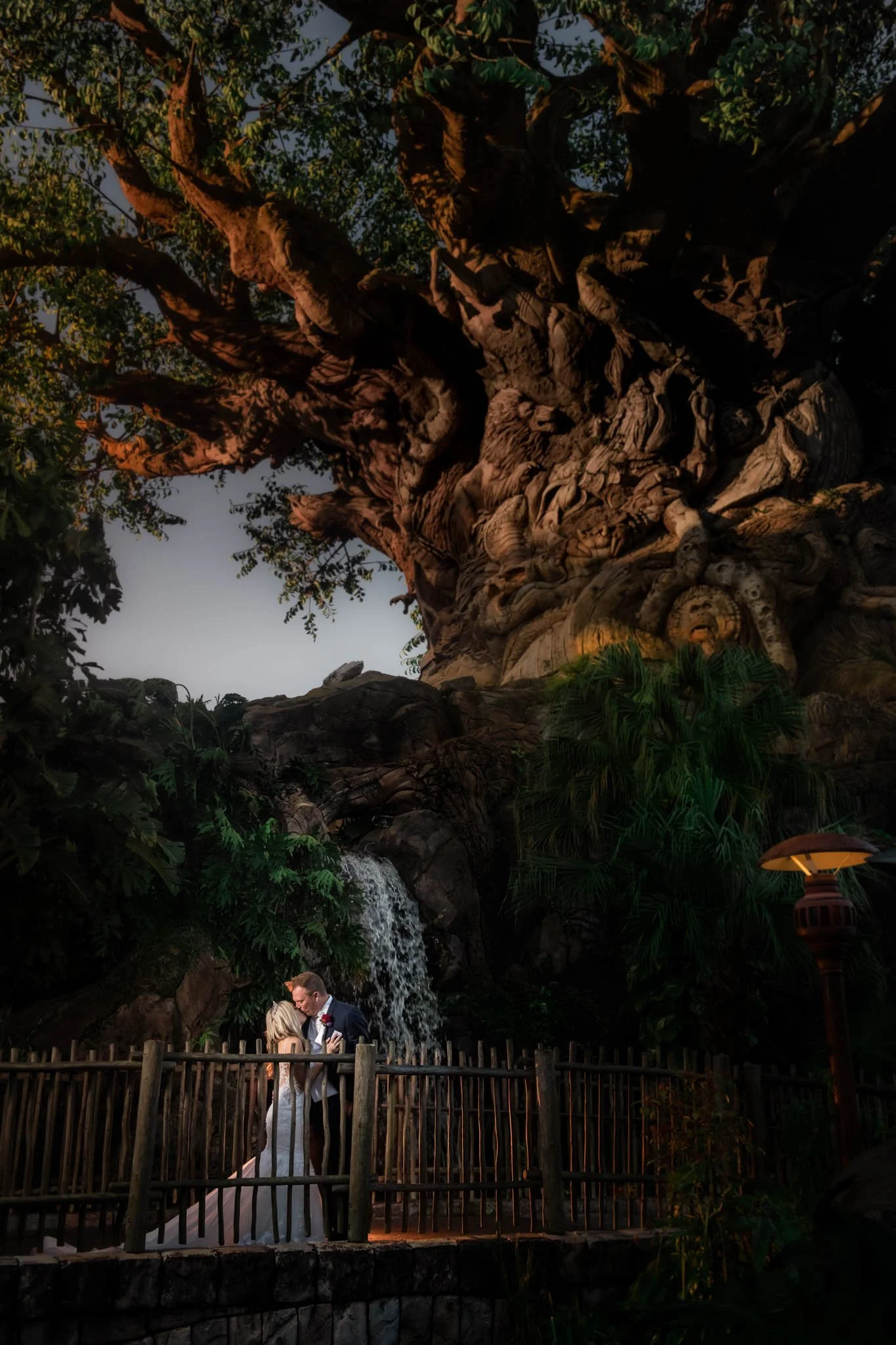 593391022-4834Animal Kingdom.jpg