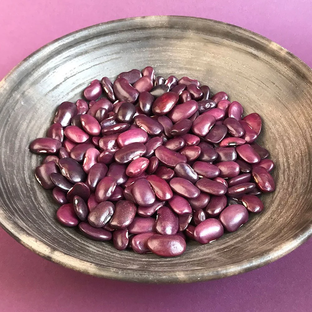 lacomandantaayocotemorado.jpg