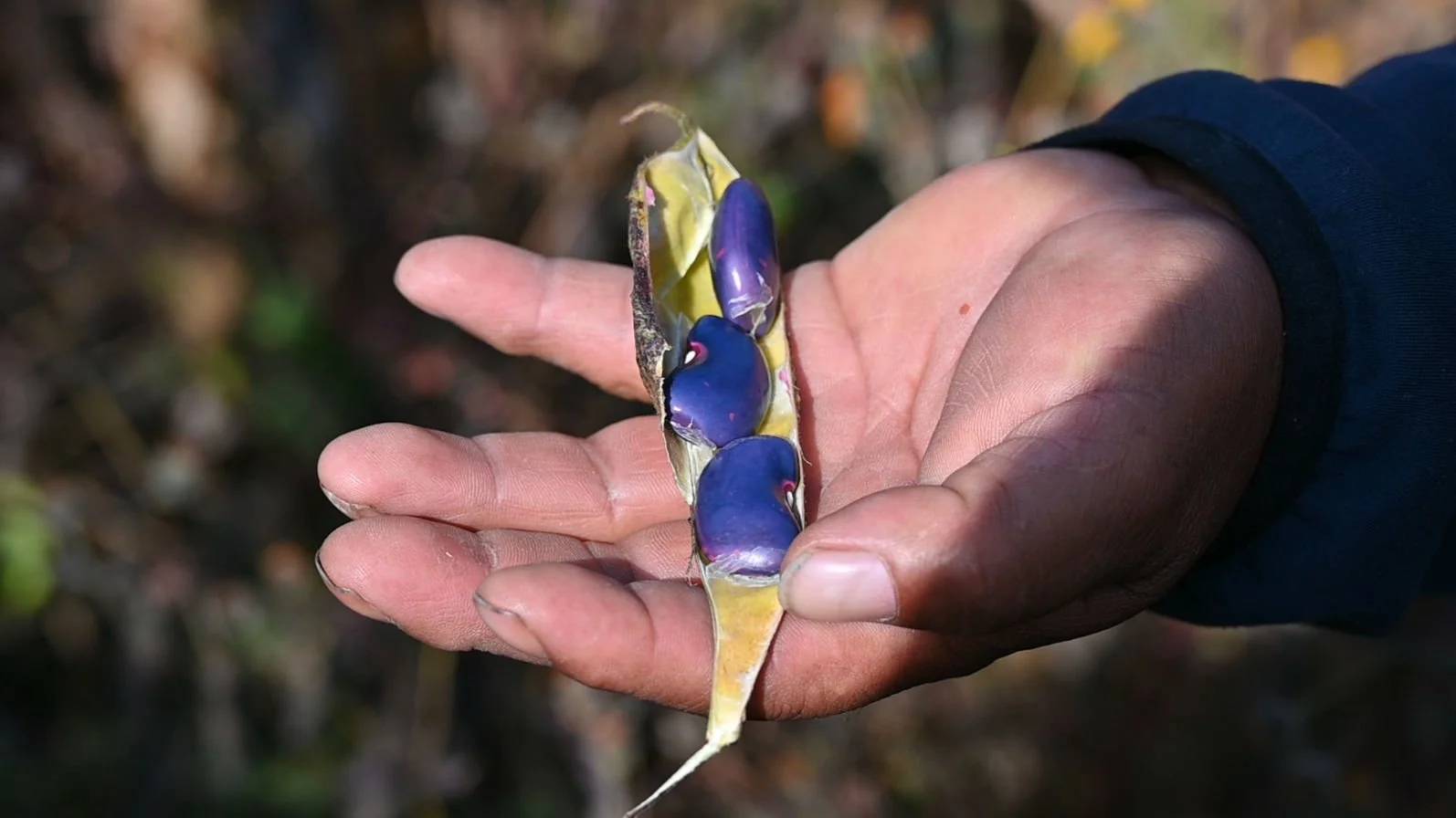 Tales from our Mexican producers - the first in a series!