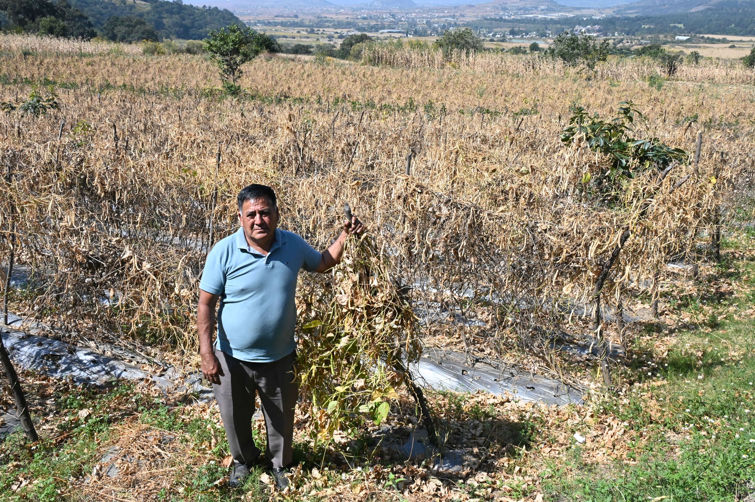 ‘We love what we do and we are proud of it’ - the latest tale from our Mexican producers