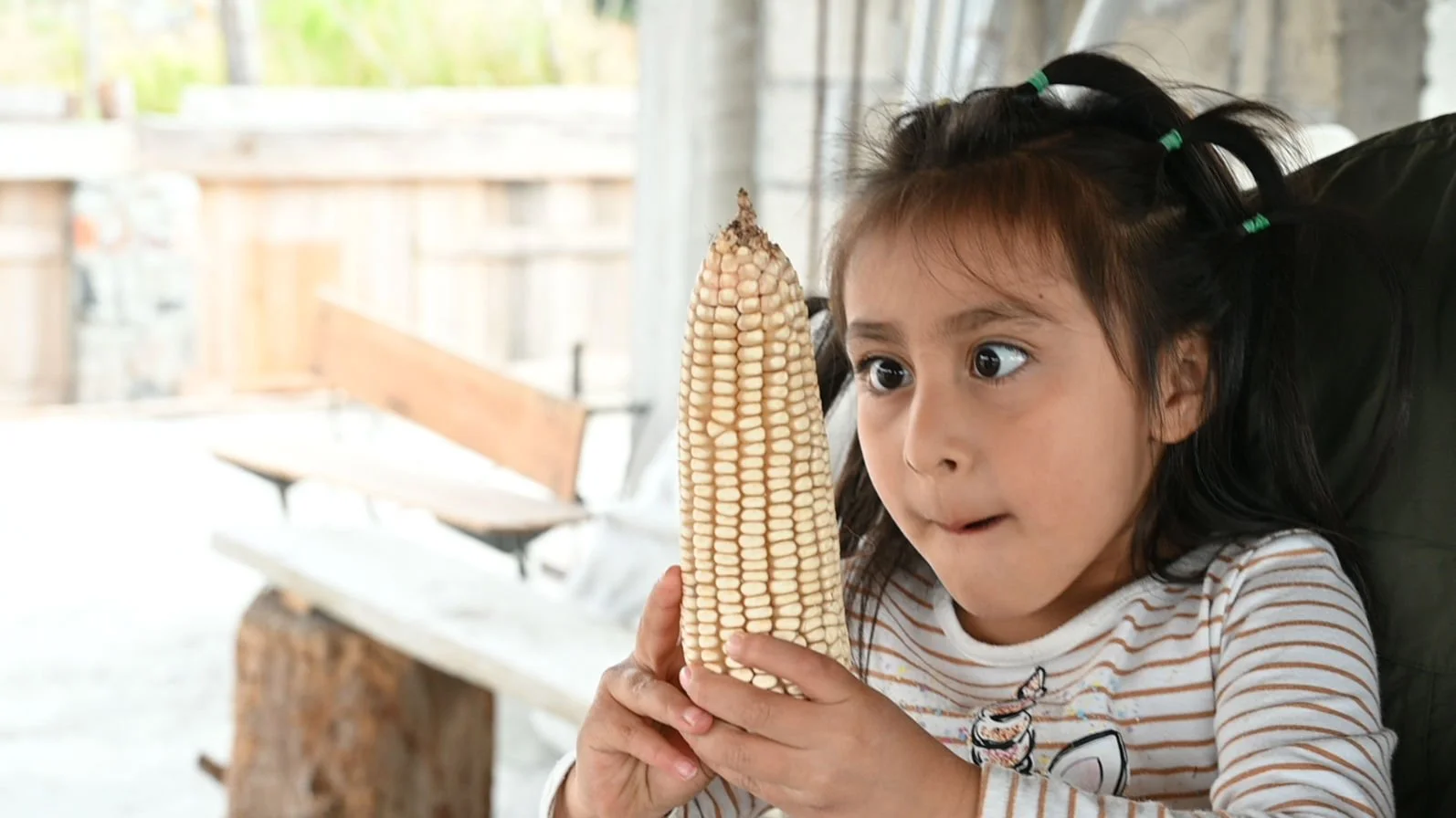 Combining traditional knowledge with modern research&nbsp; - our latest Mexican producer story