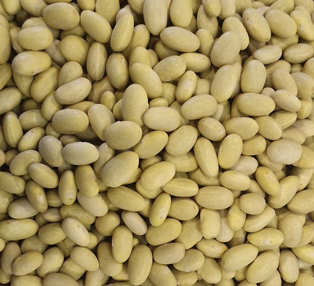 peruanopcrop.png