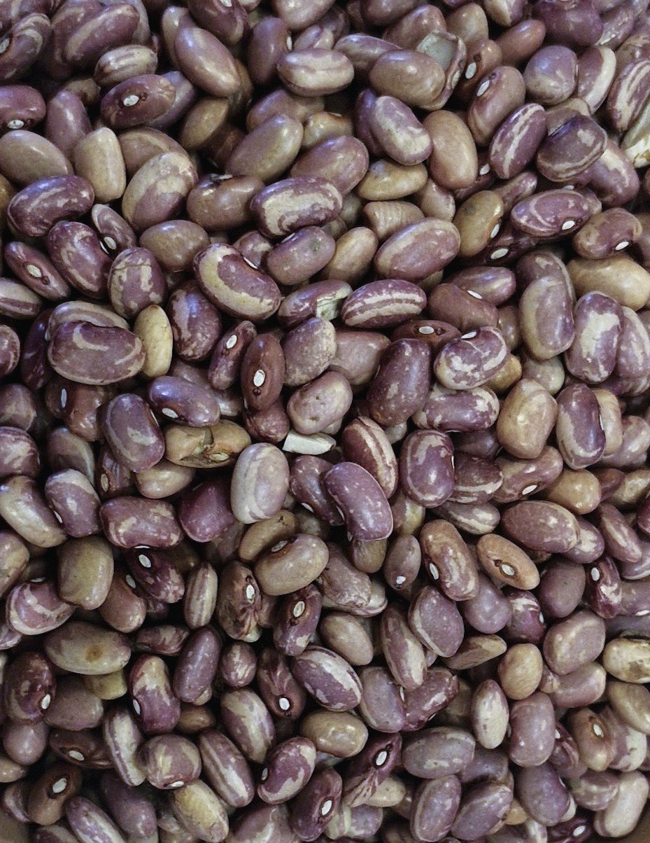 flordemayocrop.jpg