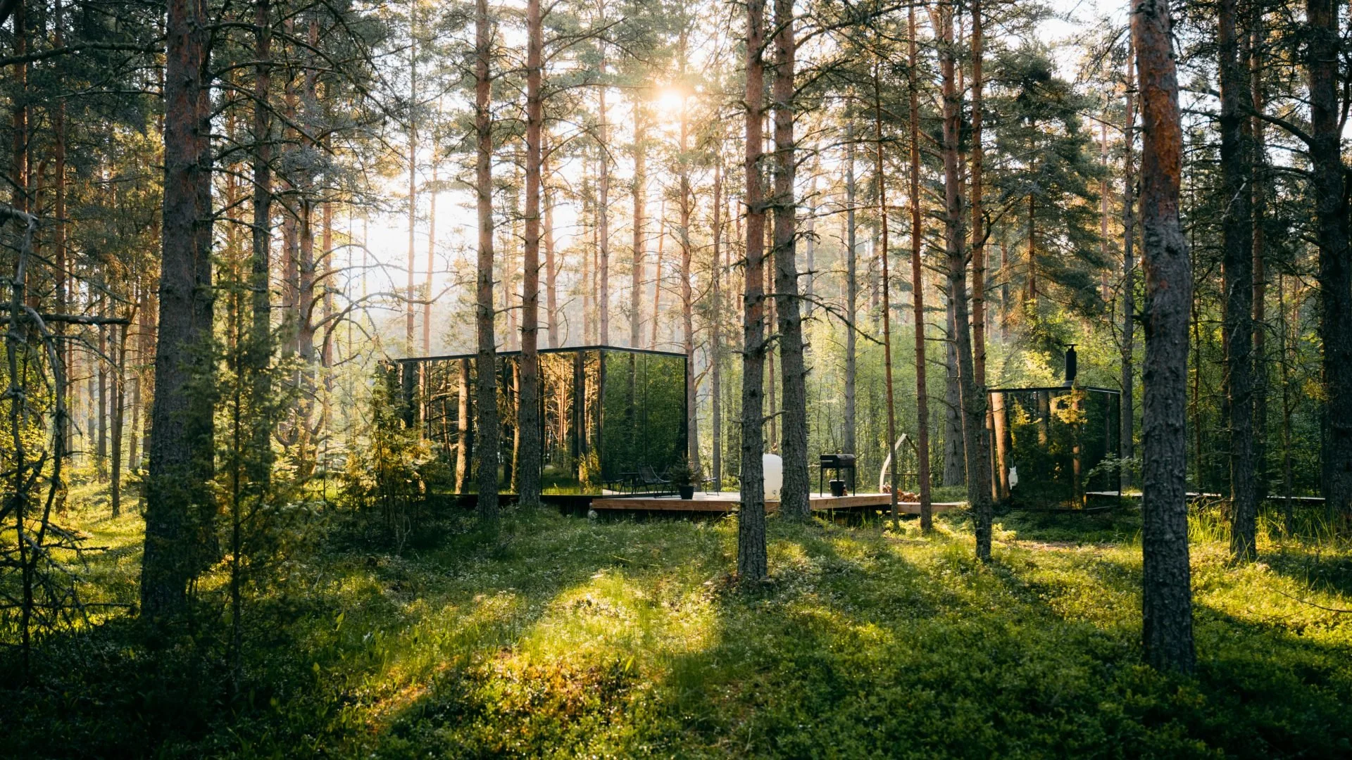 A wooden deck in a forest with tall pine trees, outdoor furniture, and mesh enclosures, illuminated by sunlight.