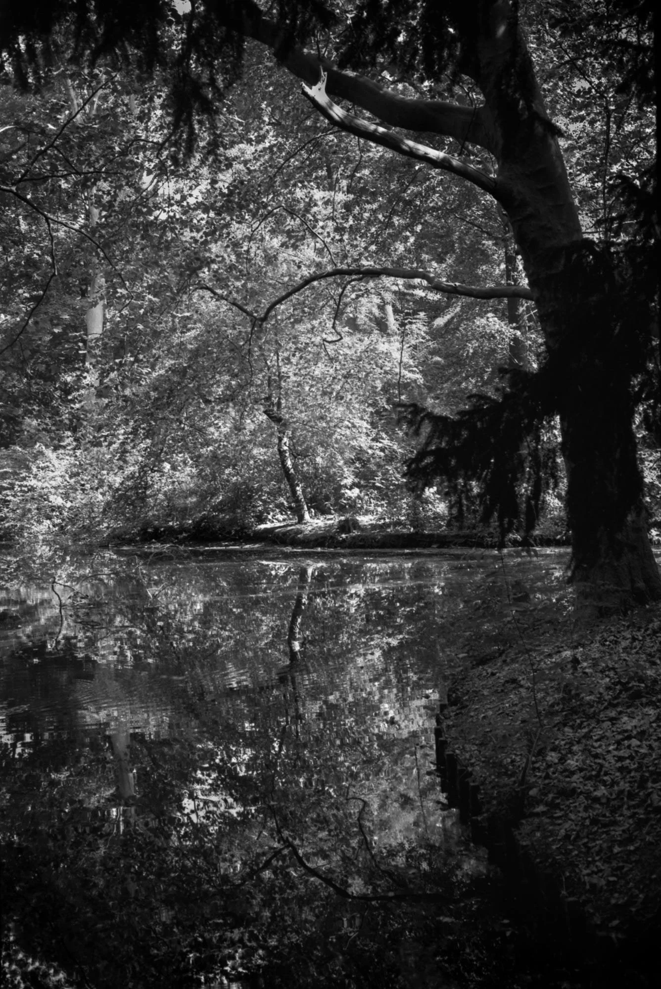 tiergarten.jpg