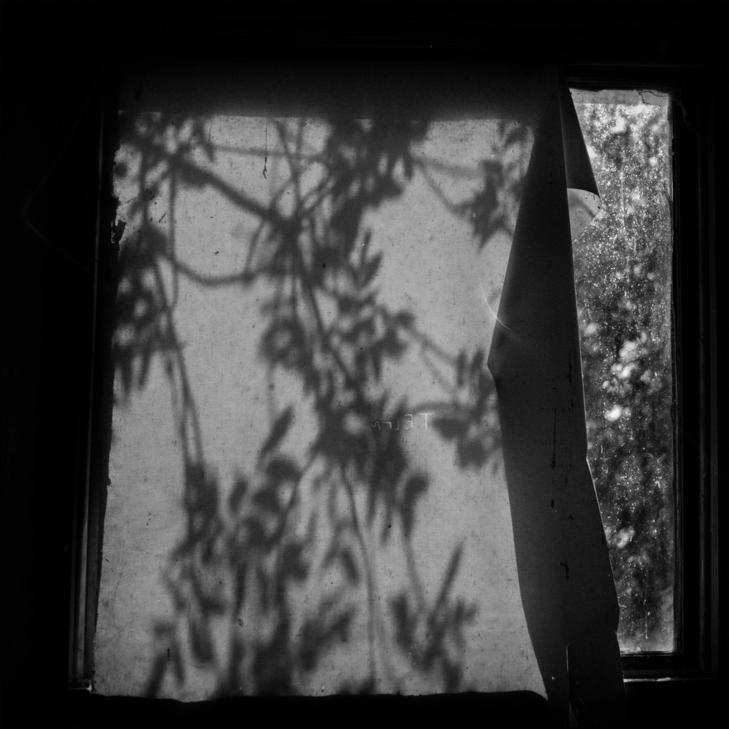 curtain shadows.jpg