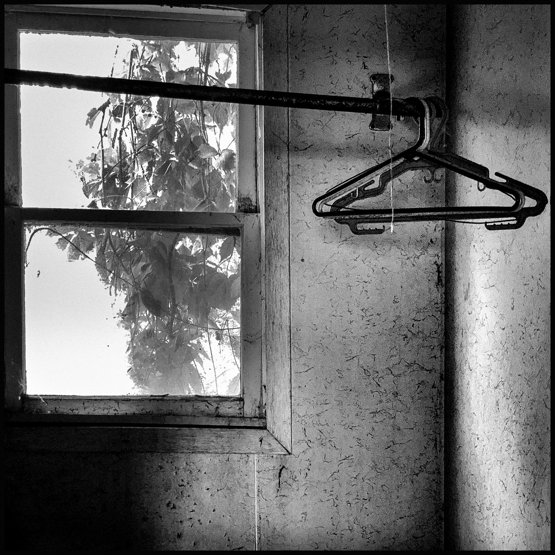 coat hanger.jpg