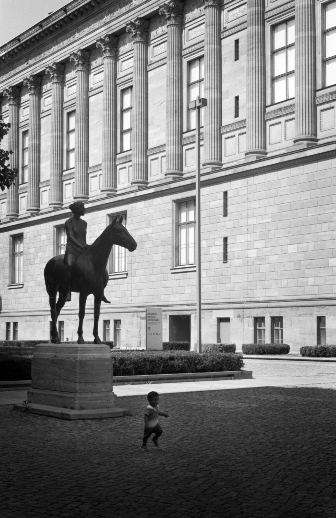 Tuaillon's Amazon.jpg