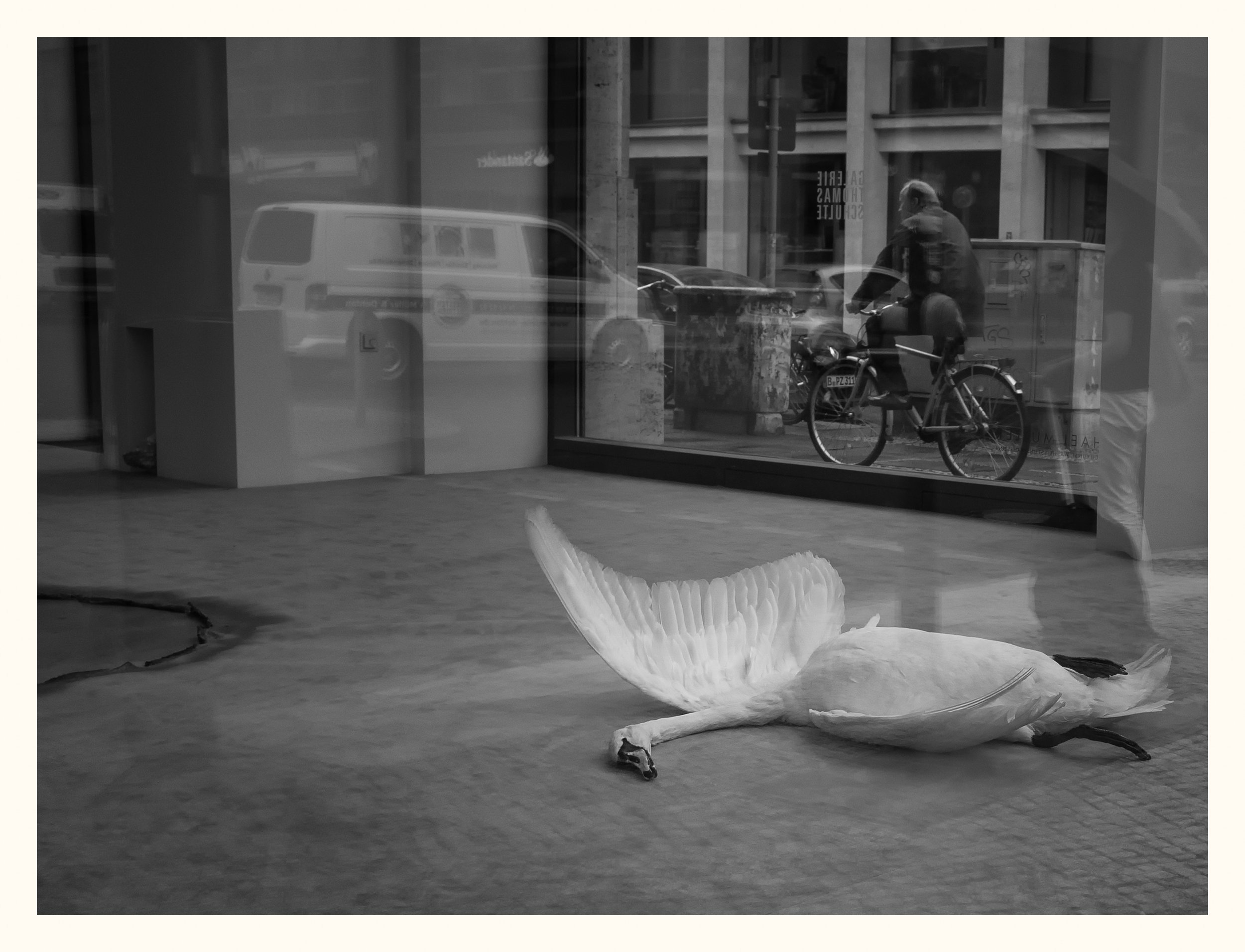 swan antique.jpg