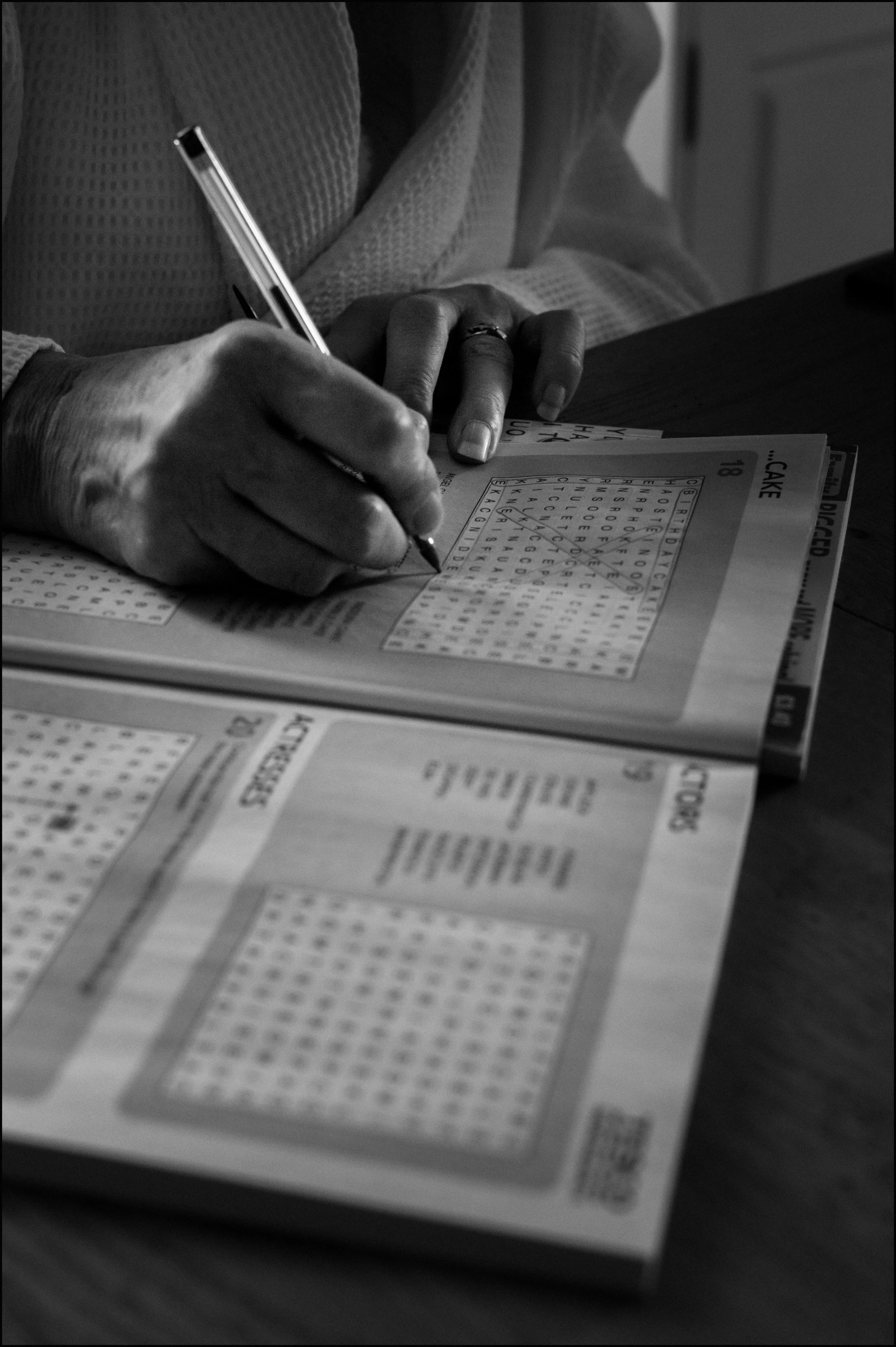 puzzle and pen.jpg
