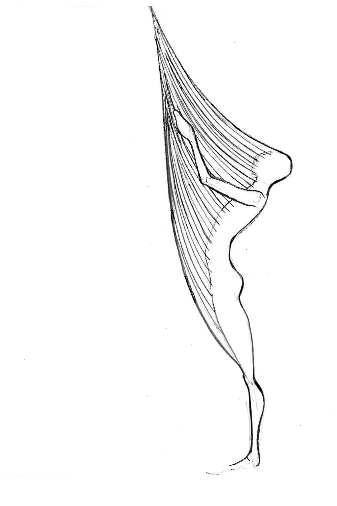 Sketch+3+_+body+to+wall.png