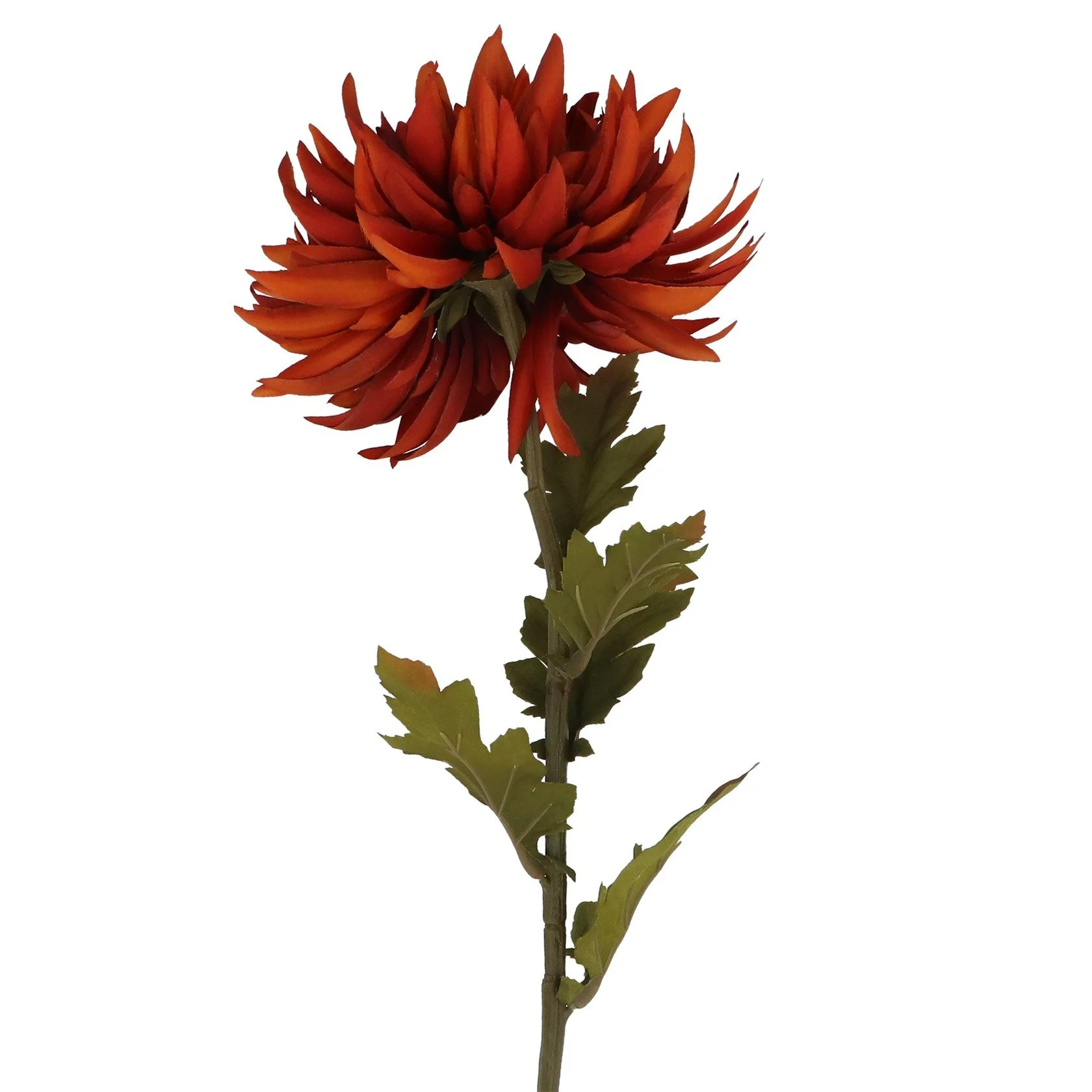 Dark Orange Chrysanthemum