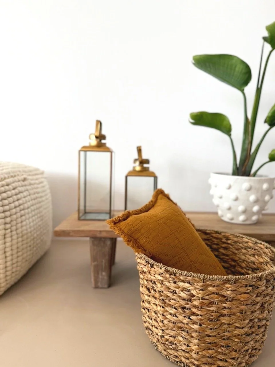 IMG_1413 - Grande.jpg