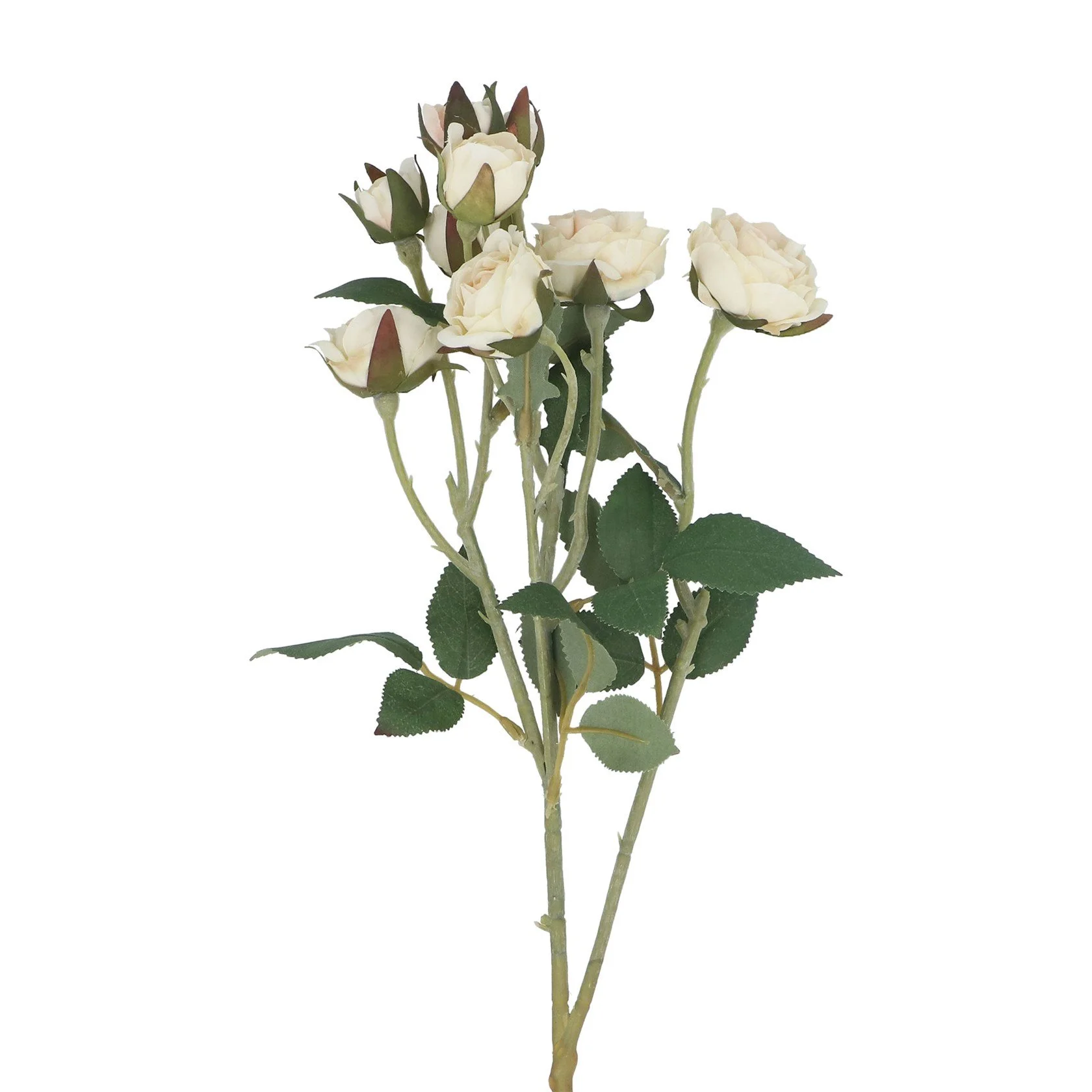 Antique Cream Rosebud