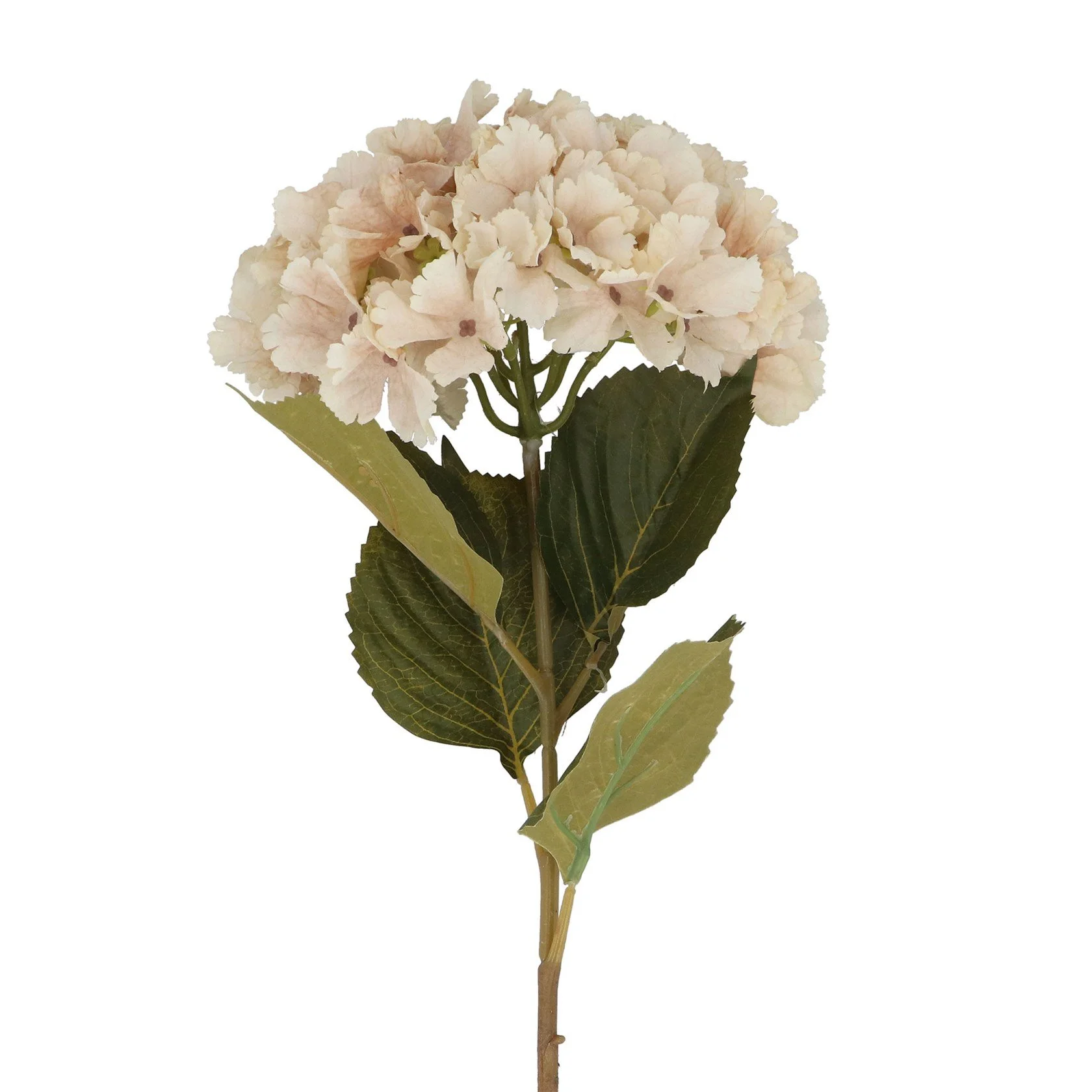 Artificial Antique Cream Hydrangea