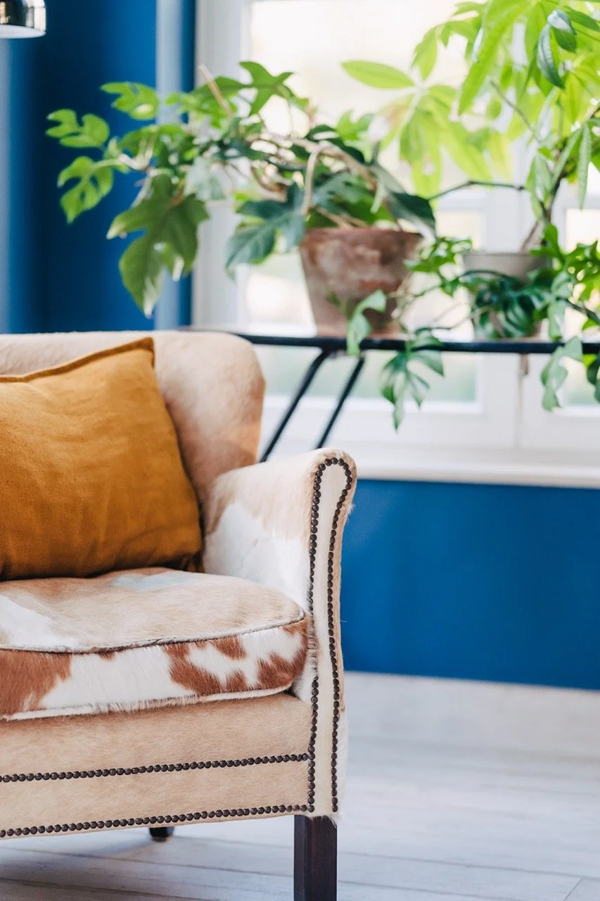 IMG_6811 - Grande.jpeg