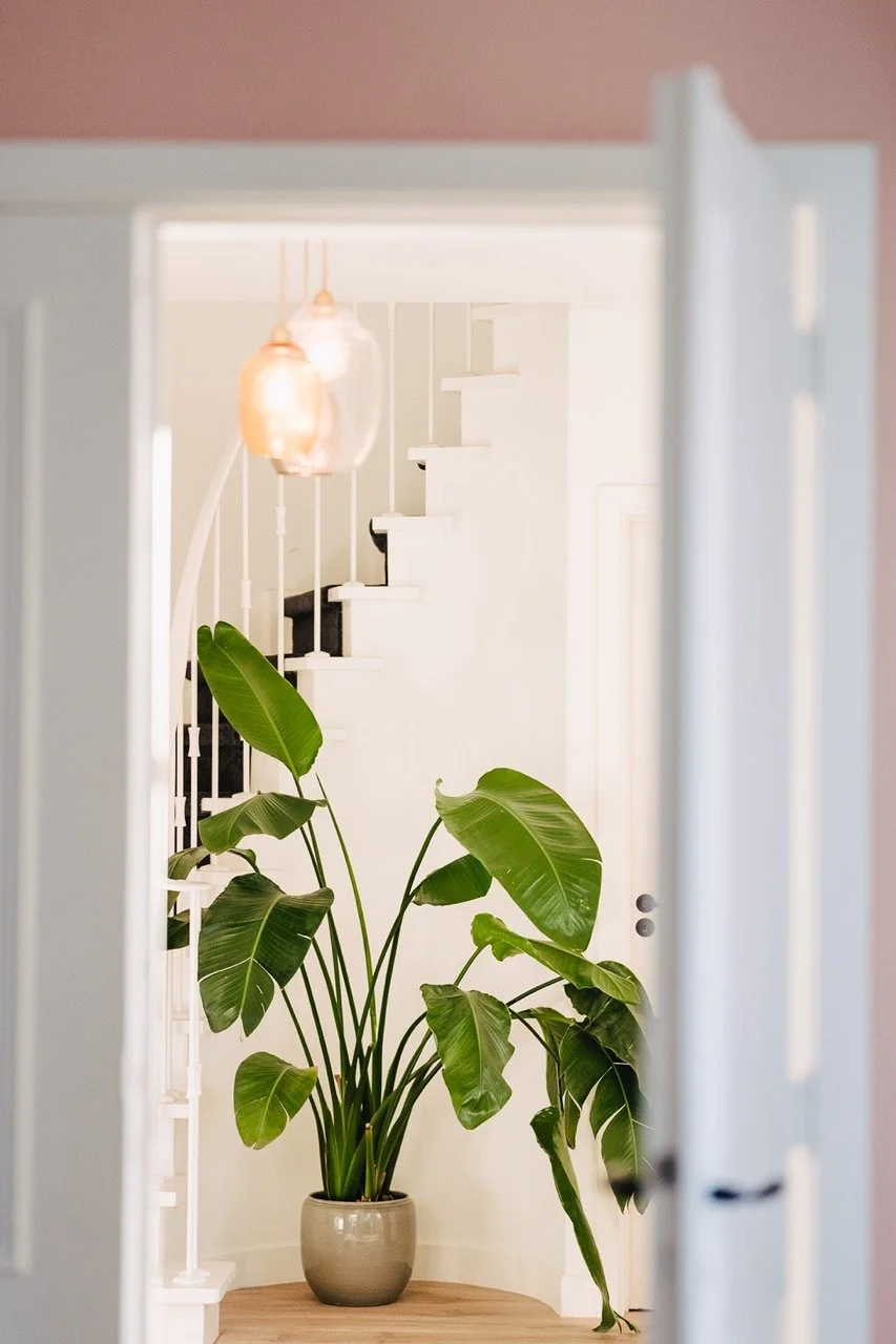 IMG_6809 - Grande.jpeg