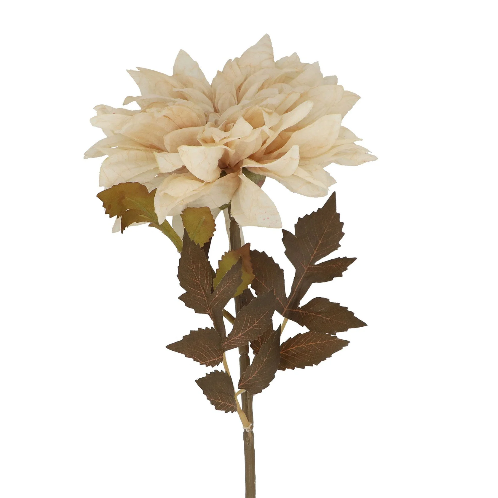 Branch of Antique Cream Dahlia