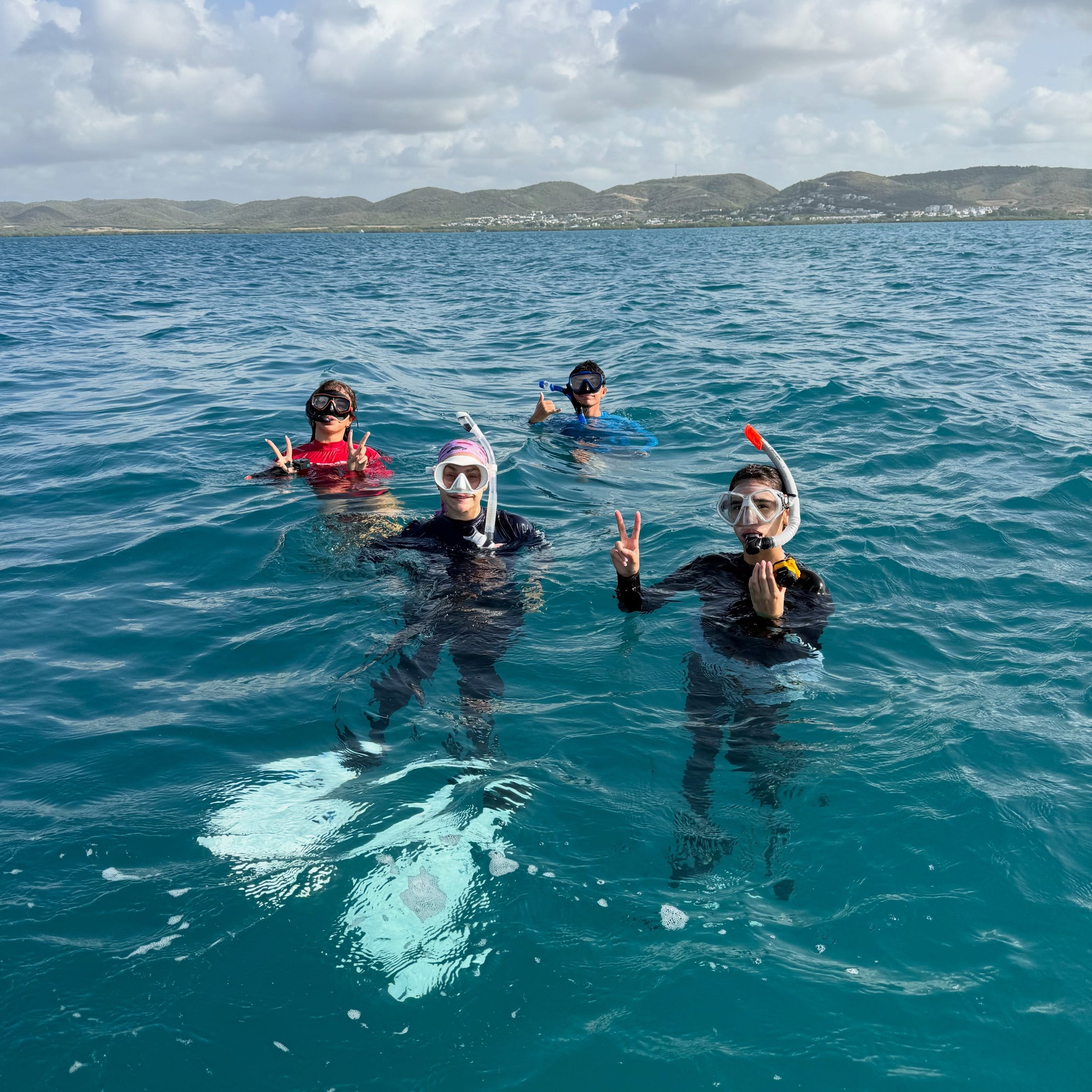 🪸 Como cierre de la Semana de los Arrecifes de Coral, celebramos nuestro primer Taller de Identificaci&oacute;n de Especies en Arrecifes y Yerbas Marinas junto al Cap&iacute;tulo Estudiantil de AmandOc&eacute;ano (@amandoceanorum). 

&iexcl;Todav&ia