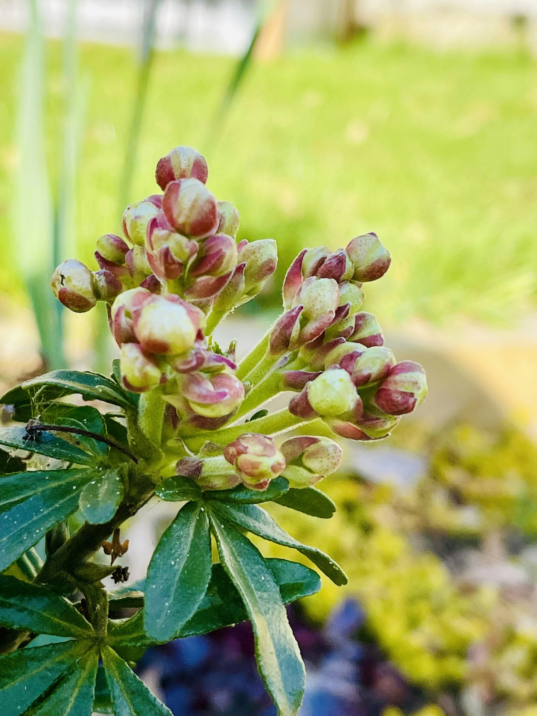 How Rejuvenation Helps Leaders Build Courage, Trust, and Resilience