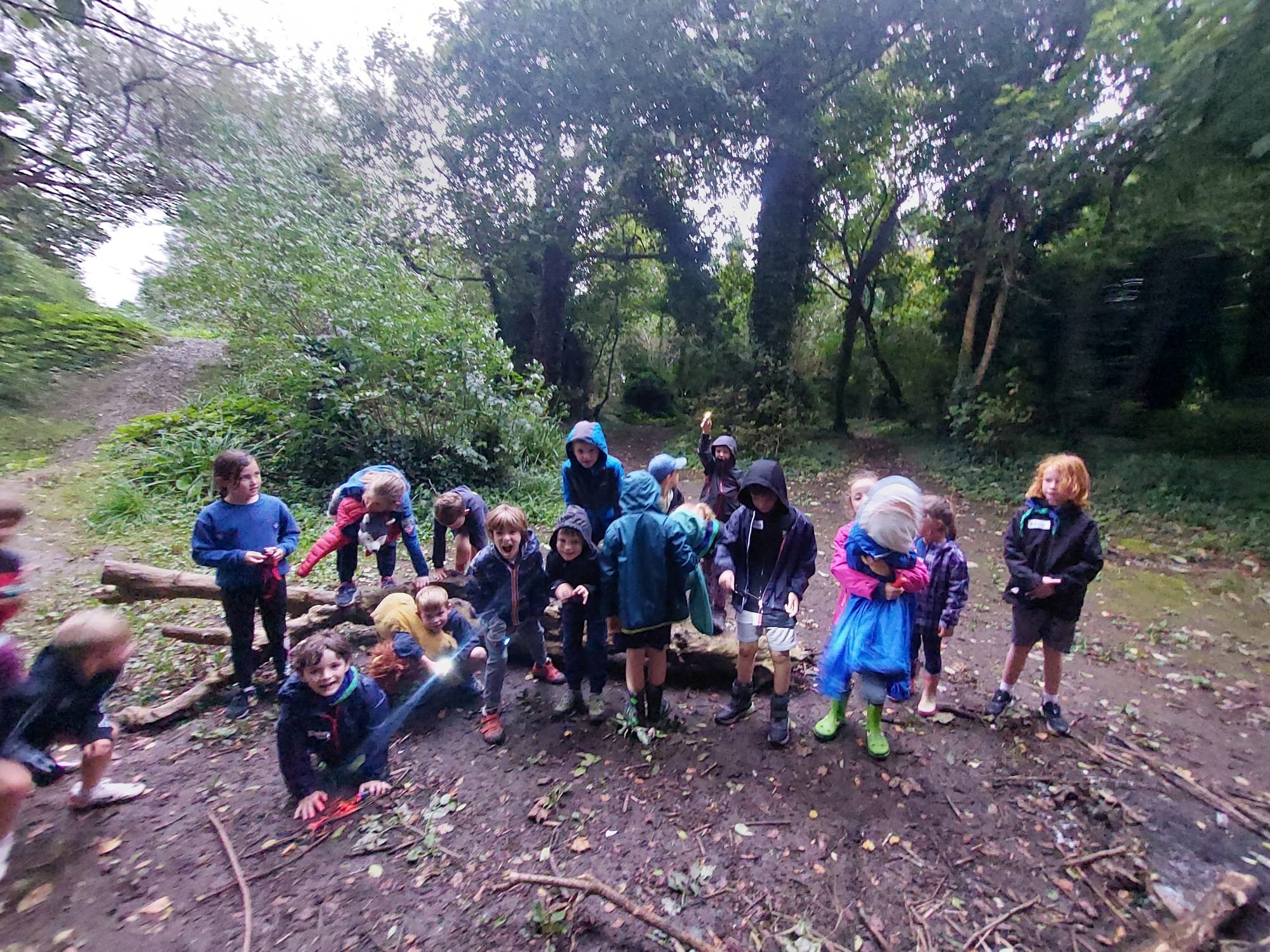 portmarnock-scouts-back-woods.jpg